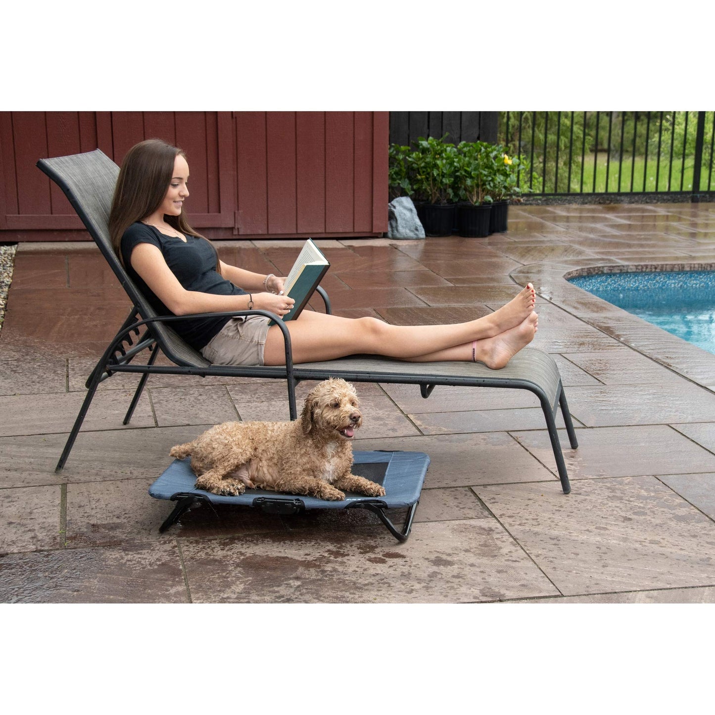 Lifestyle Pet Cot Elevated Bed, No Assembly Required, Premium Tear Resistant Cooling Mesh, Indoor & Outdoor, Lightweight & Portable, 3 Models, 2 Colors
