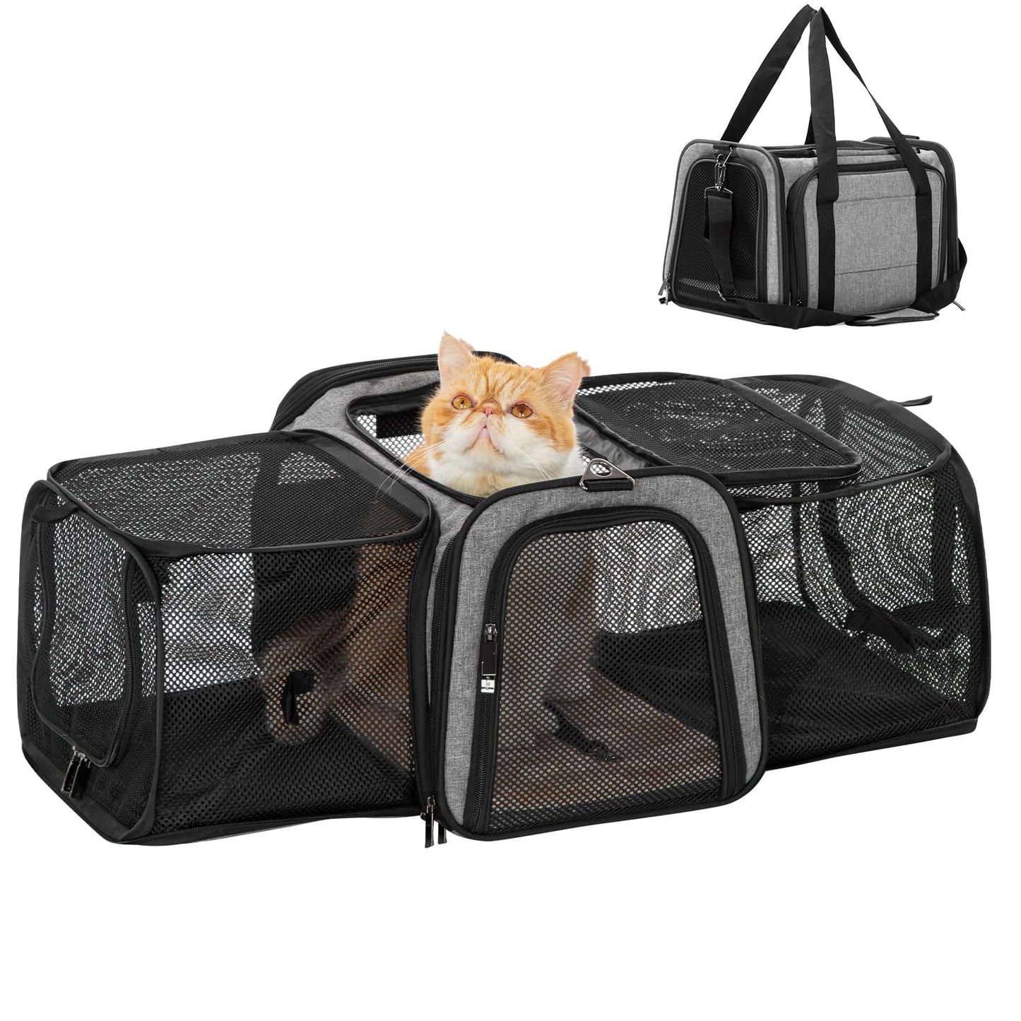 Petsfit Expandable Pet Carrier Airline Approved, Cat Carrier with Locking Zipper and Shoulder Strap, Storage Pockets, Cats, Kittens Puppies or Small Dog up to 15 Pounds,Gray M