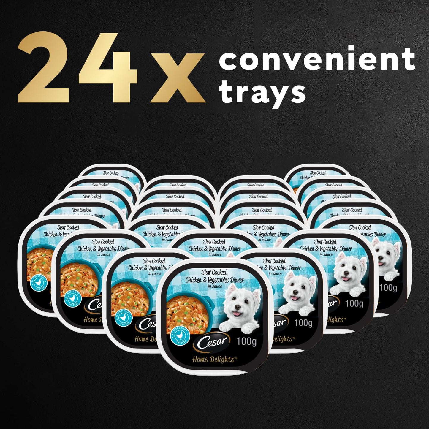 CESAR Home Delights Wet Dog Food - Slow Cooked Chicken & Vegetables Dinner in Sauce - 100g (24 Pack)