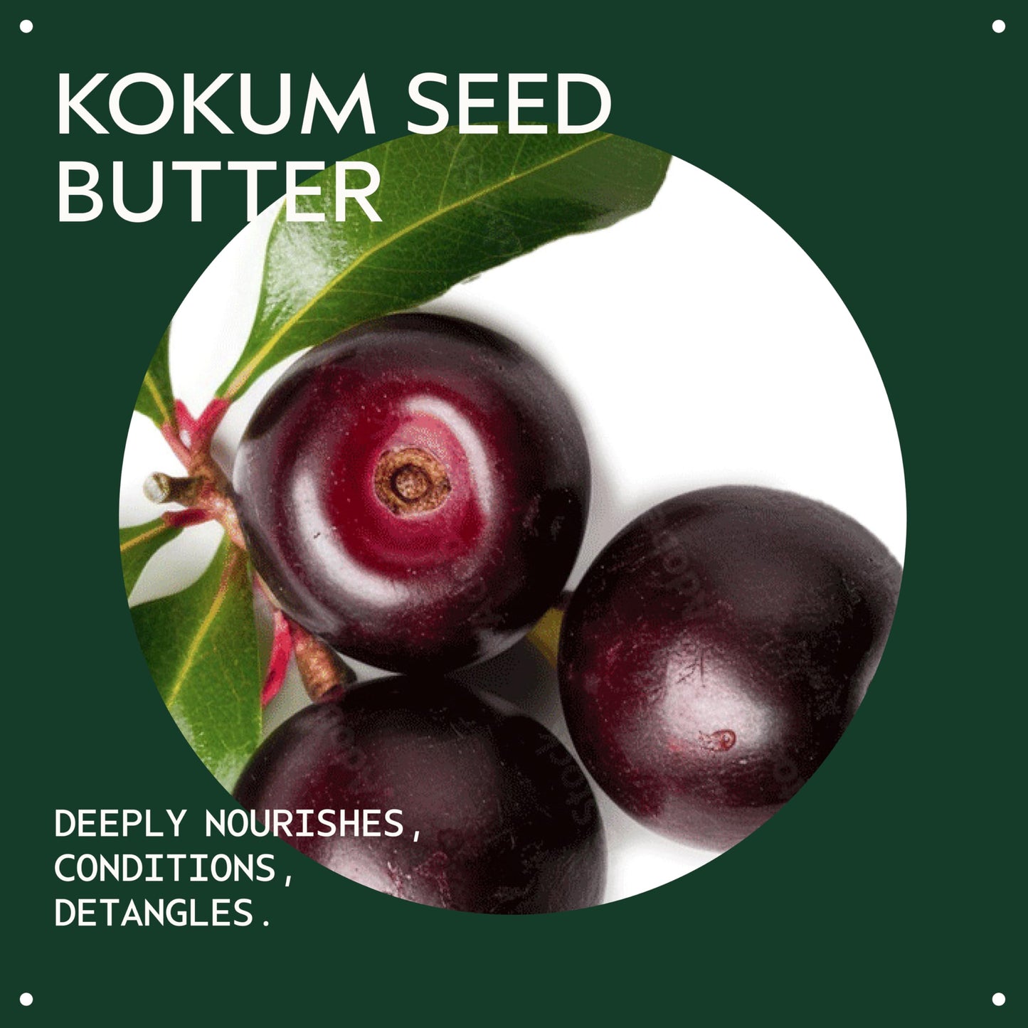 Aveda Be Curly Advanced Co-Wash | Enhances Curl Pattern, Hydrates Curly & Coily Hair | Fights Frizz | Sulfate Free | Silicone Free | 98% Naturally Derived*, 350ml