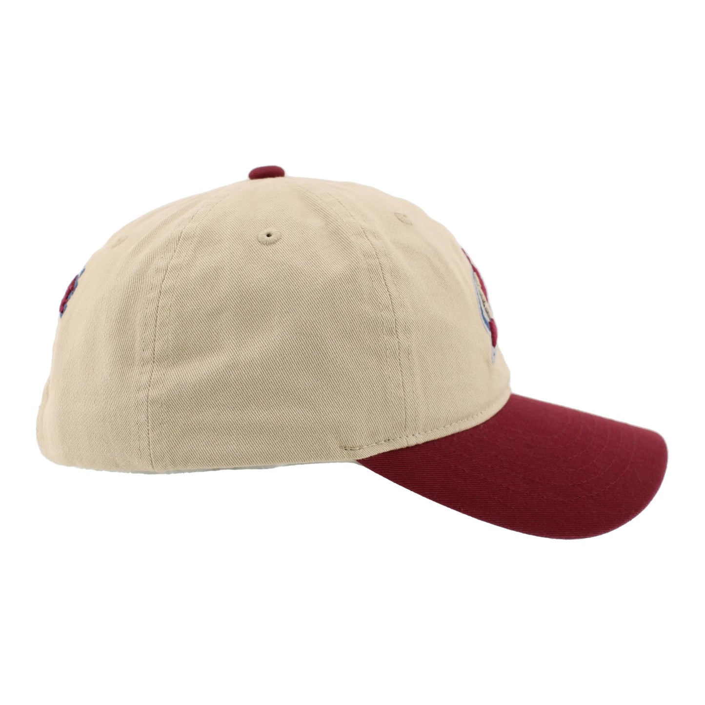 ZHATS Standard NHL Officially Licensed Adjustable Hat Scholarship Icon Stone
