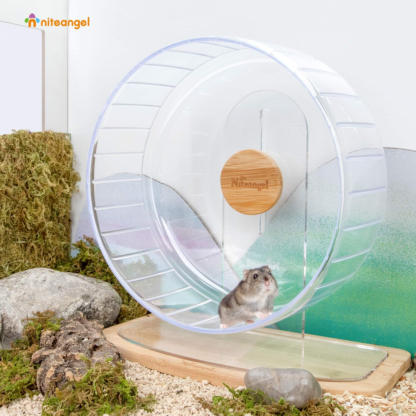Niteangel Super-Silent Hamster Exercise Wheels - Quiet Spinner Hamster Running Wheels with Adjustable Stand for Dwarf Syrian Hamsters Gerbils Mice Or Other Small Animals (Transparent, Large)