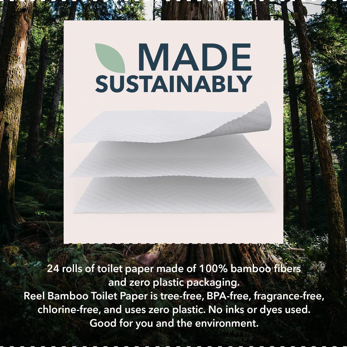 Reel Premium Bamboo Toilet Paper - 12 Rolls of Toilet Paper - 3-Ply Made from Tree-Free, 100% Bamboo Fibers - Eco-Friendly, Zero Plastic Packaging, Septic Safe