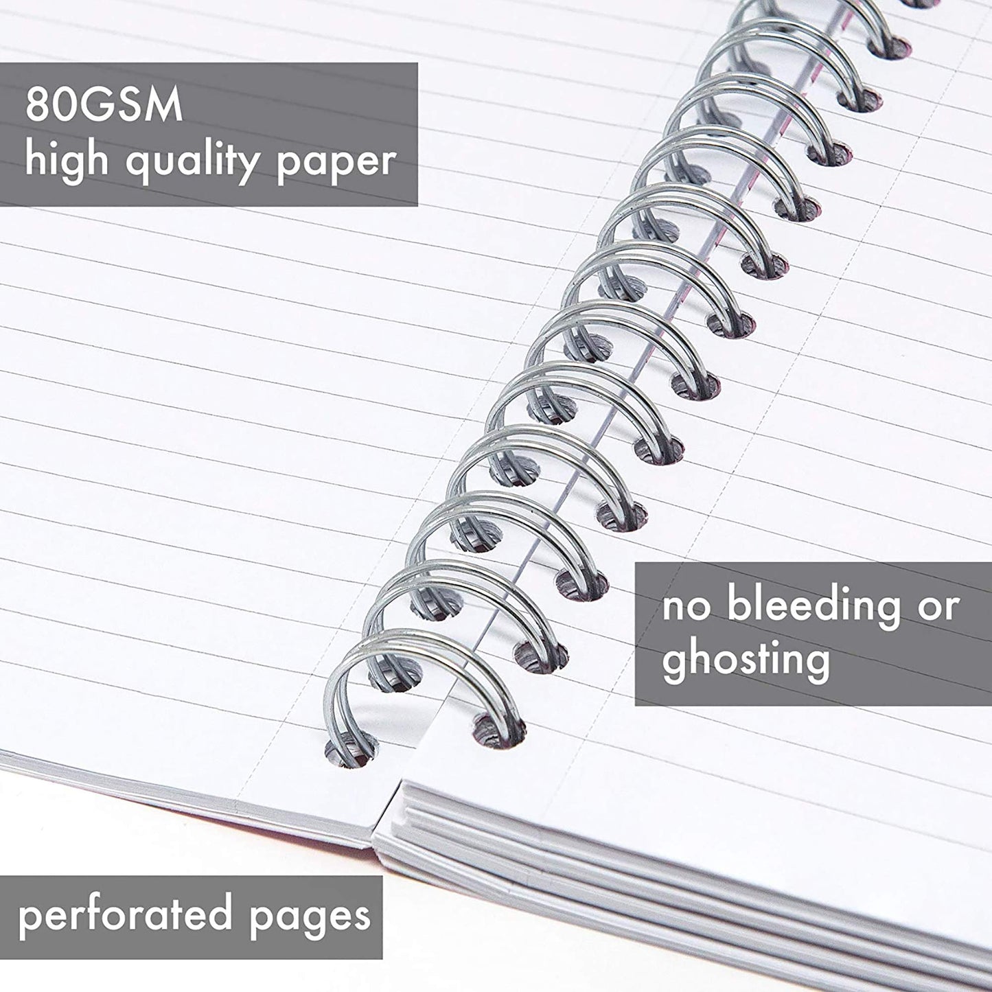 Pukka Pad, 5 Subject Spiral Notebook 3-Pack with Repositionable Dividers - 200 Pages of 80GSM Paper with Perforated Edges - Rochelle & Jess, B5-7 X 10in