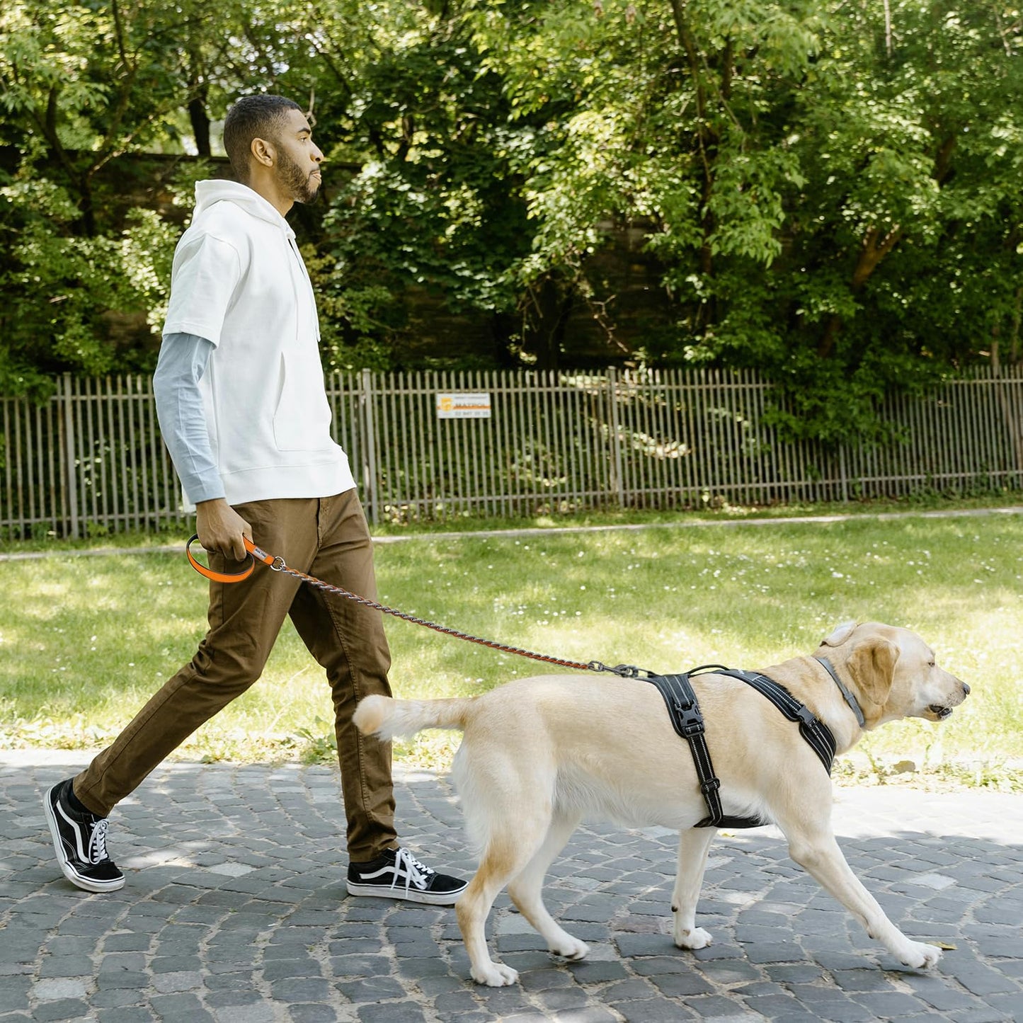 Chew Proof Metal Leash Chain Dog Leash for Medium Large Dogs, Chain Link Dog Leash Anti Chew 5FT Strong Anti Bite Dog Leash Comfortable Soft Padded Handle Orange