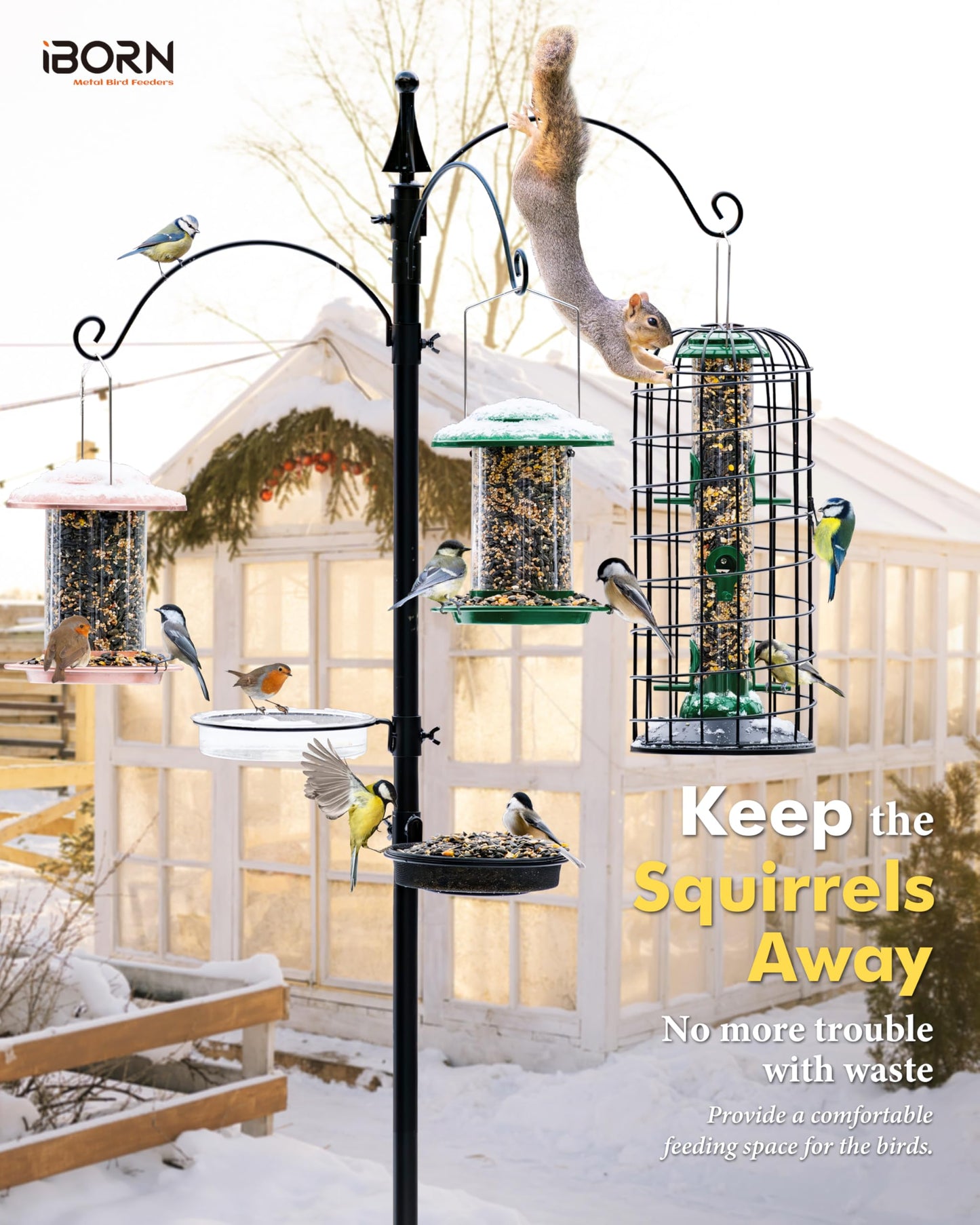 iBorn Squirrel Proof Bird Feeder Pigeon Proof Cage Bird Feeder for Outside with Squirrel, Pestoff Hanging Wild Bird Seed Feeder for Mix Seed Blends, Heavy Duty All Metal Green 14 Inch
