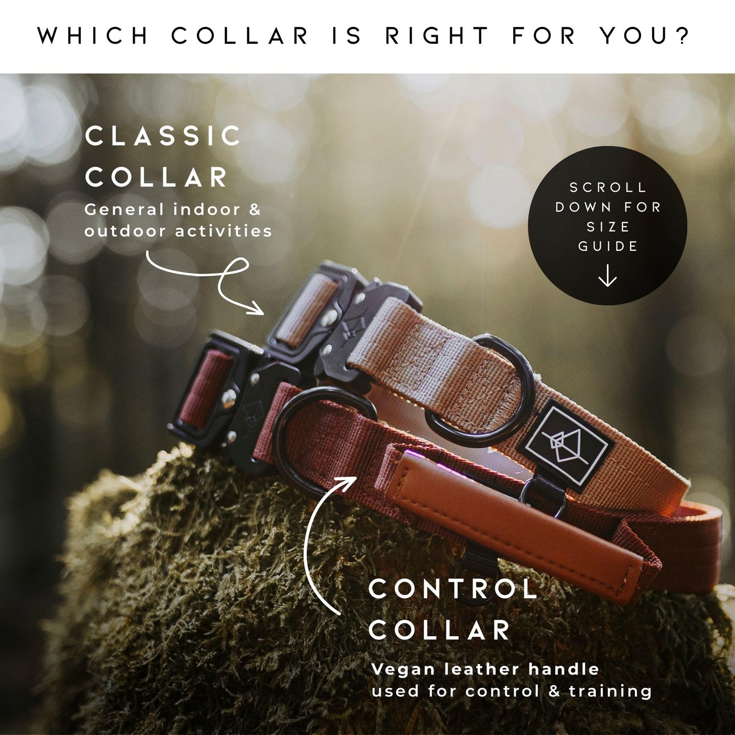 Made to ROAM Premium Dog Collar - Adjustable Heavy Duty Nylon Collar with Quick-Release Metal Buckle (Arizona Heartbeat, Classic Size 4)