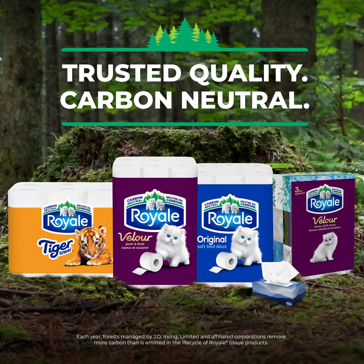 Royale 3 Ply Facial Tissues, Bigger Stronger & Softer Sheets, 18 Boxes, 50 Tissues Per Box