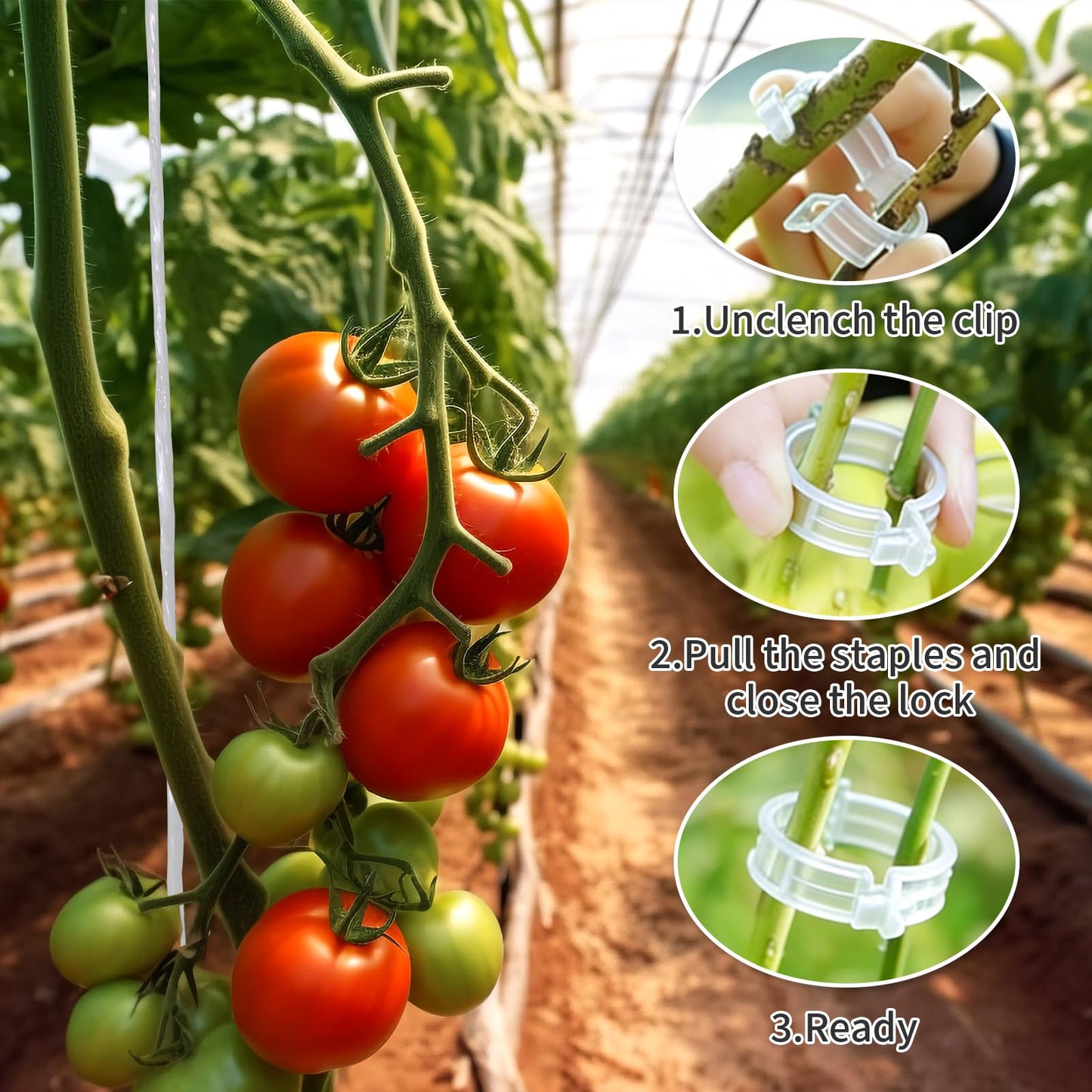 190pcs Tomato Hooks with String with Tomato Plant Support Clips, J-Hook, Tomato Holder Hooks with 33.3ft Tomato Twine for Climbing Plants Tomato Cucumber Cherry Vegetable