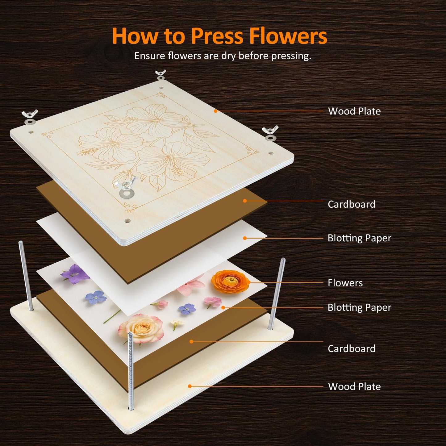 11x 11 Inch Wooden Flower Press Kit – Large Flower & Plant Presser for Adults and Teens, Ideal for DIY Dried Flower Art, Bouquet Preservation & Nature Crafts