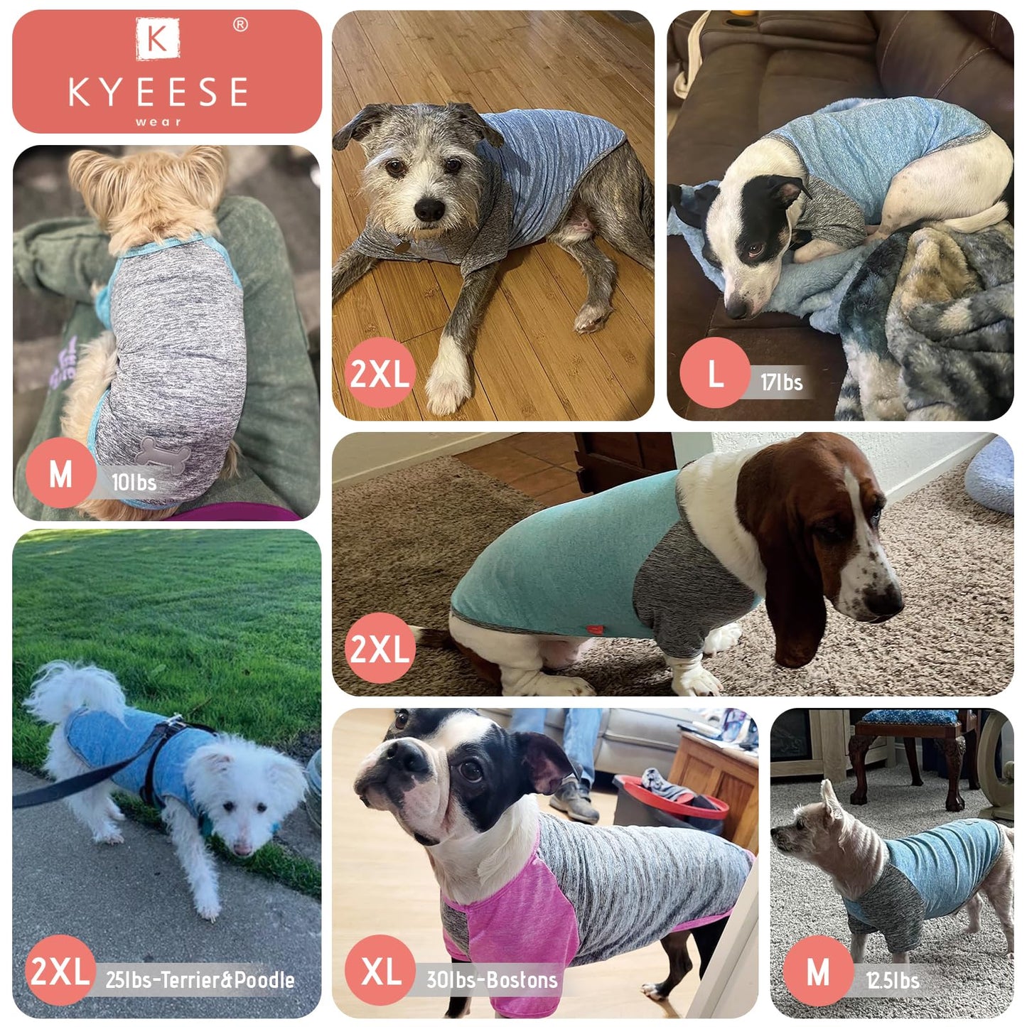 KYEESE 2 Pack Dog Shirts Quick Dry Raglan Sleeve Soft Stretchy Dog T-Shirts with Reflective Label Pet Clothes for Small Dogs