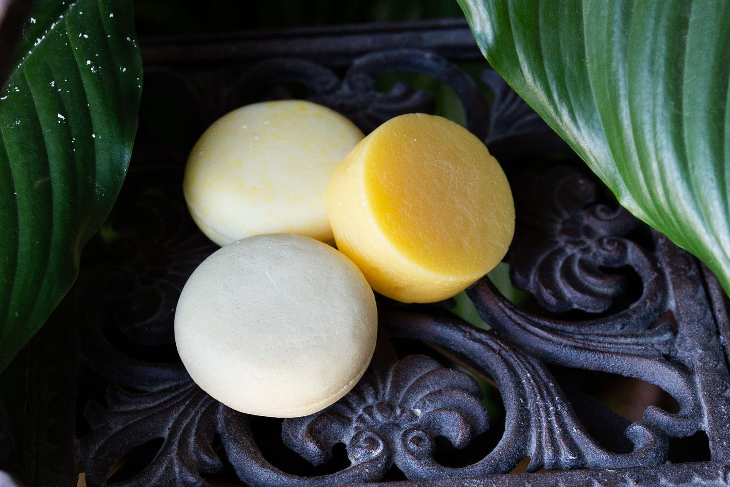 Bee By the Sea Eco Bar Variety Pack (Shampoo, Conditioner and Body Wash)