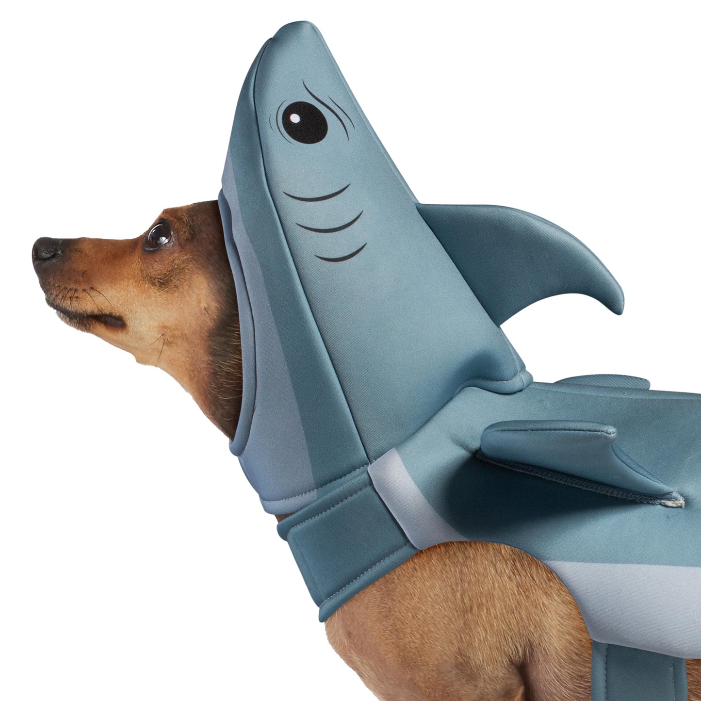 Jaws: Bruce Pet Costume for for Dogs or Cats by Rubies, Small