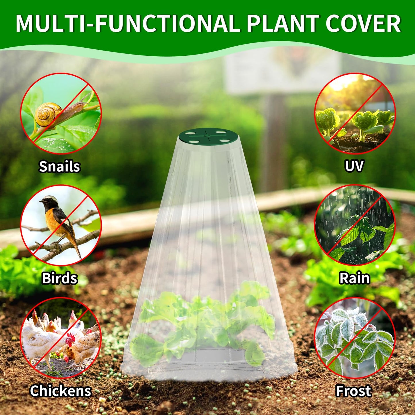 Garden Cloches for Plants, Garden Cloche with Rotary Vent, Reusable Bell Plant Covers, Plant Cloche Protectors from Animals Snails Birds Chickens, 7.9" H X 6.7" D (Transparent-20PCS)