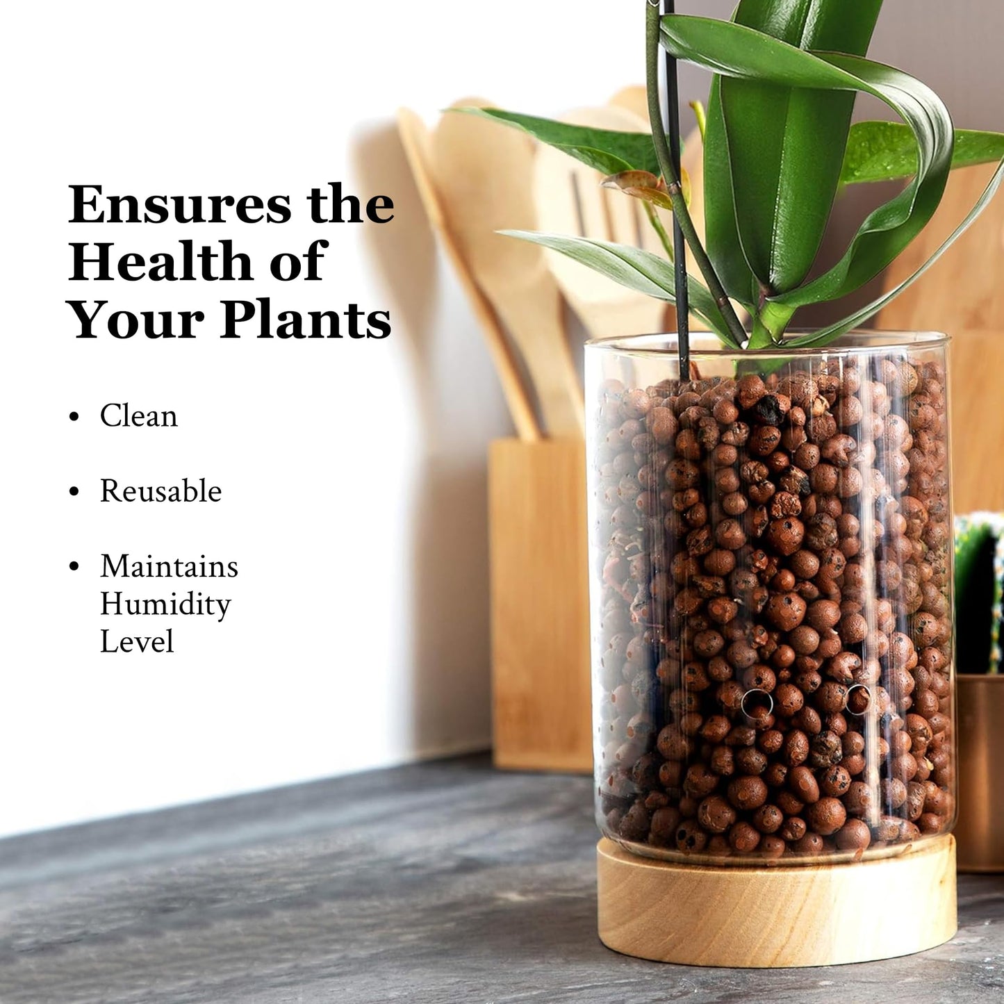 Pot & Pebble - C1 Glass Planter with Wooden Base - Plant Propagation Station with Holes for Water Level Control - Plant Cutting Holder for LECA Clay Pebbles/Similar Media - Semi Hydroponic Planter