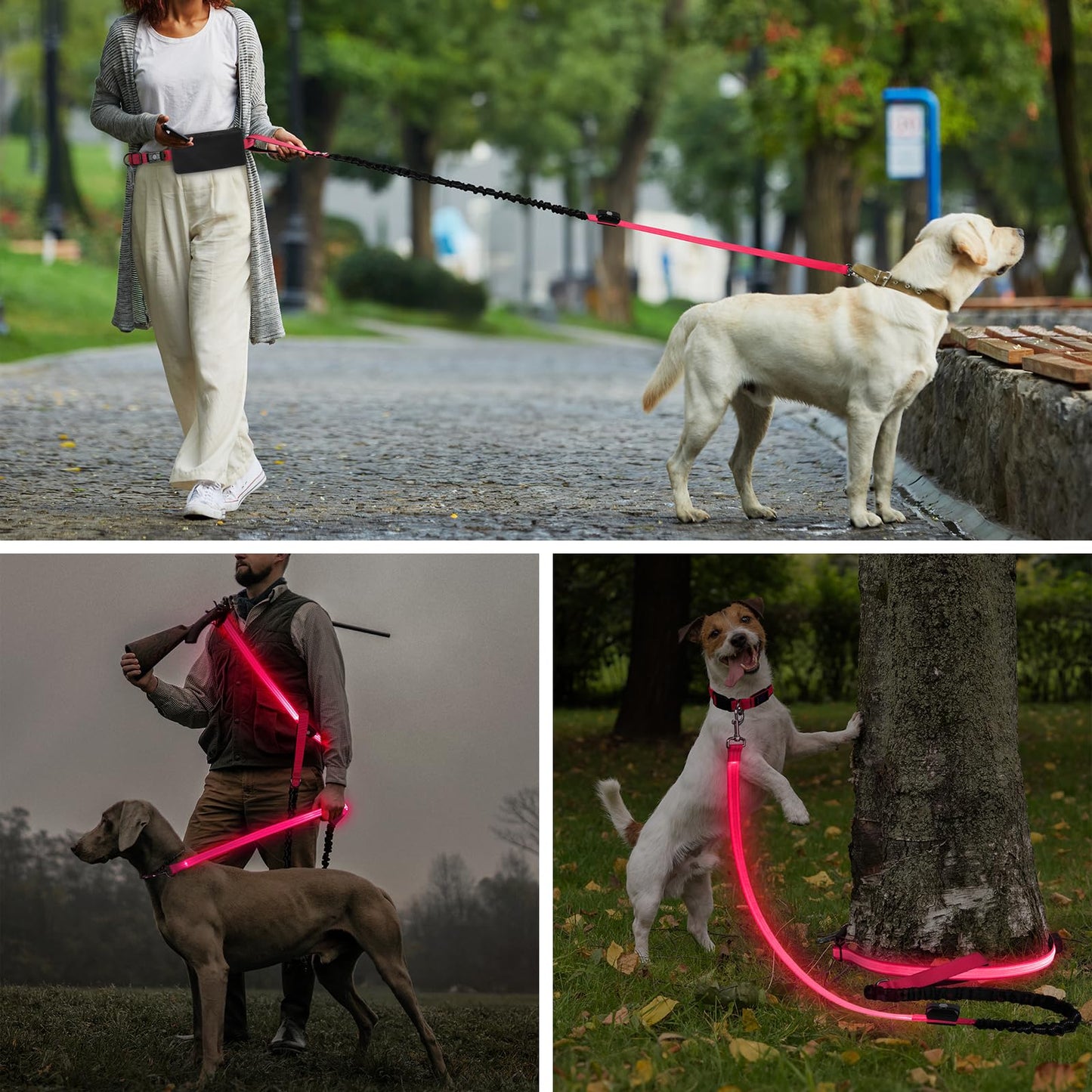 Vizbrite LED Hands Free Dog Leash, Waist Leash for Dog Walking, Retractable Bungee Light Up Dog Leash, Reflective Running Leash for Jogging, Training, Hiking