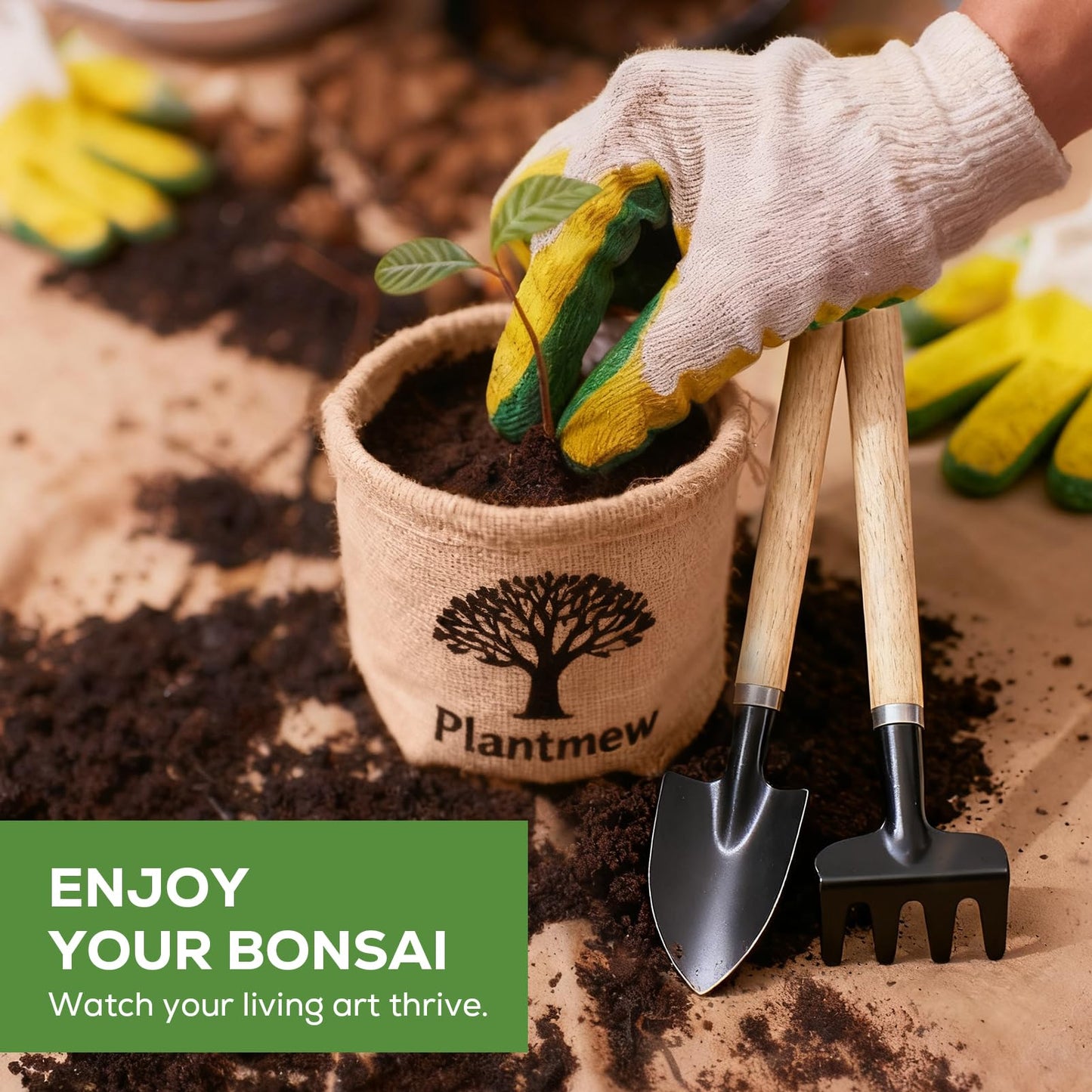 Crafts for Adults - Bonsai Tree Starter Kit with 5 Unique Japanese Trees | Complete DIY Gardening Kit for Birthday | Gifts for Women, Men, Mom, Dad, Plant Lovers