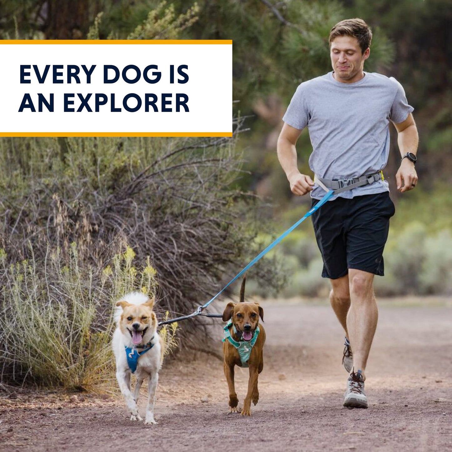 Ruffwear, Double Track Dog Leash Coupler, 2-Dog Walking System