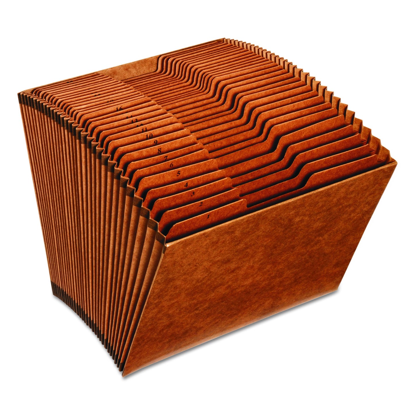 Globe-Weis Heavy-Duty Expanding File, Open Top, 31 Pockets, 1-31 Index, Letter Size, Brown (R217DHD)
