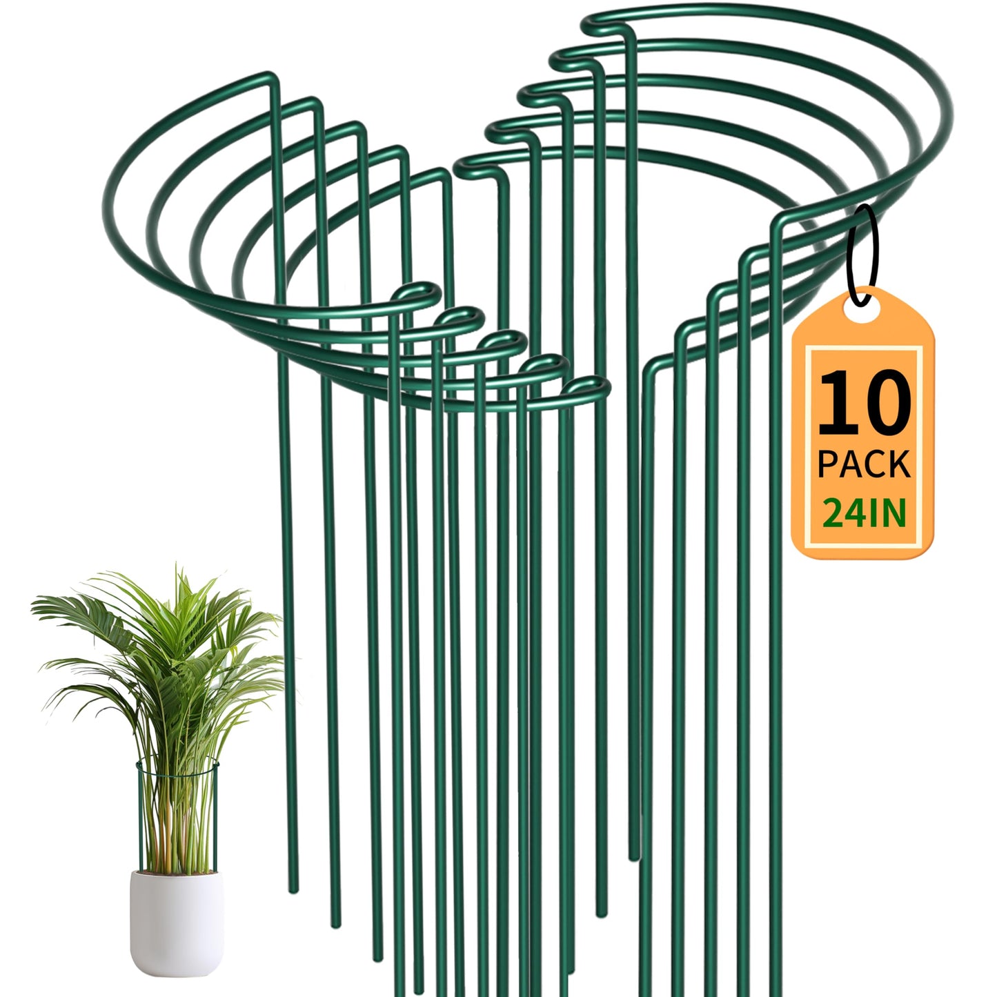 TORFICAN Peony Support Cage 24 Inch Tall, 10 Pack Heavy Duty Metal Plant Support Stakes, Rustproof Half Round Rings for Peonies, Tomatoes, Hydrangeas, Outdoor Plants,Green
