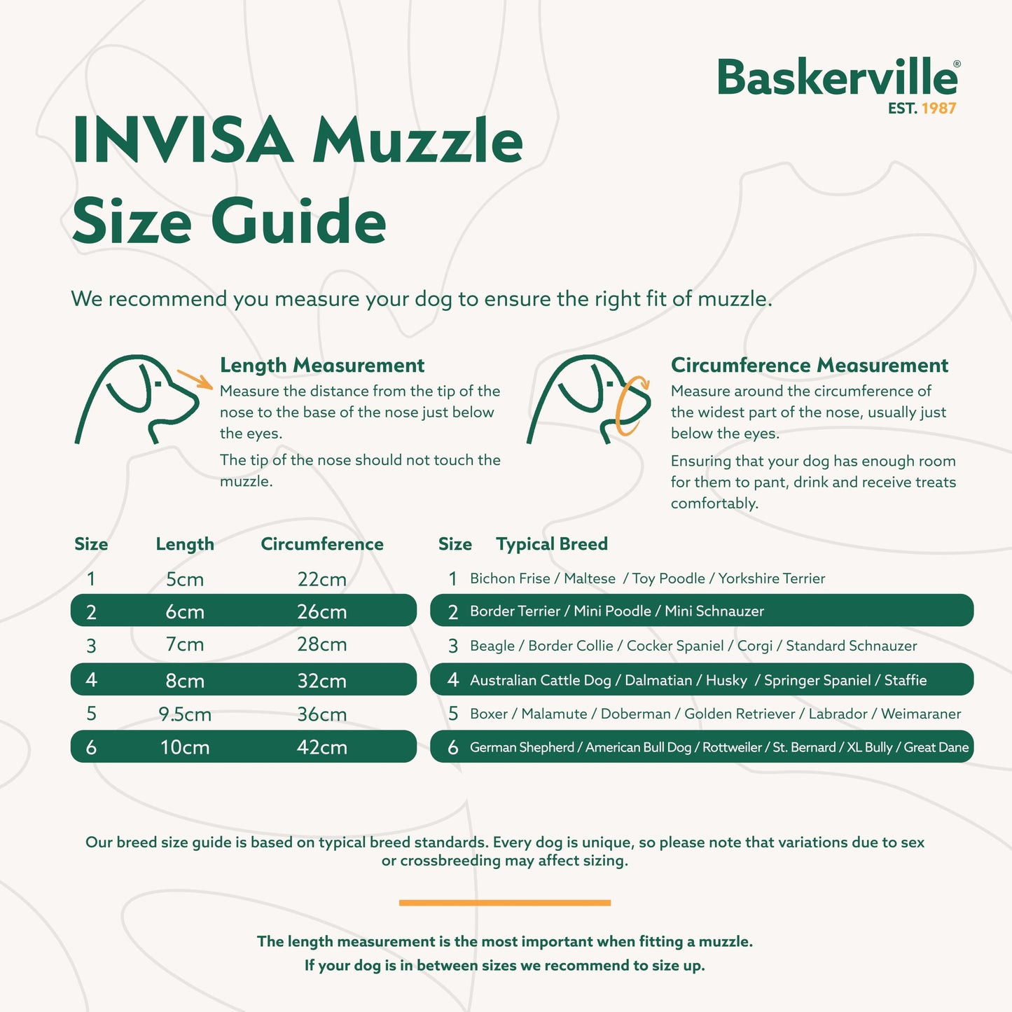 Baskerville INVISA Basket Dog Muzzle - Patented Humane Design with Facial Visibility, Padded Nose Band, Dog can Pant and Drink, Prevents Biting and Scavenging. Muzzle for Large Dogs (Size 6)