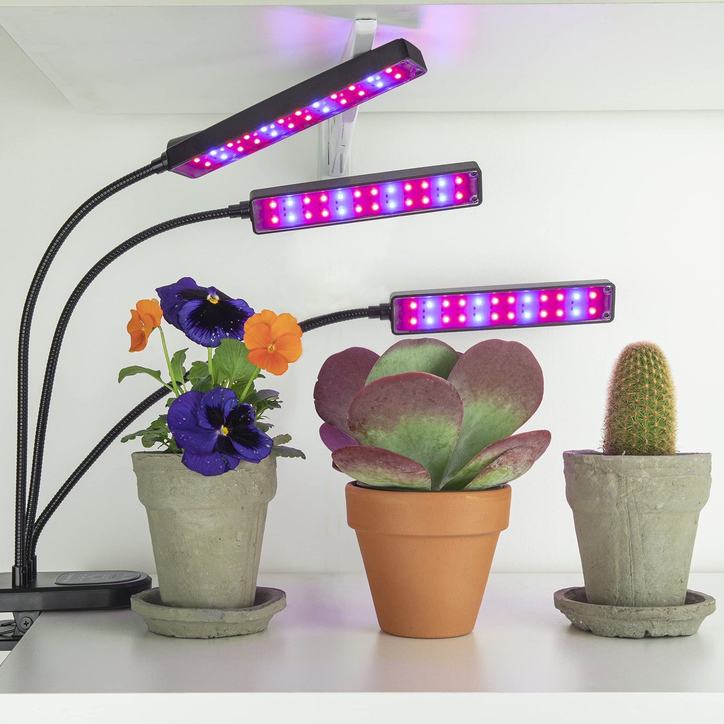 Bell+Howell Growburst 24” Indoor Plant Growing Lamp with 8 Brightness Settings, 3 Light Modes Including Full Spectrum UV Light As Seen On TV