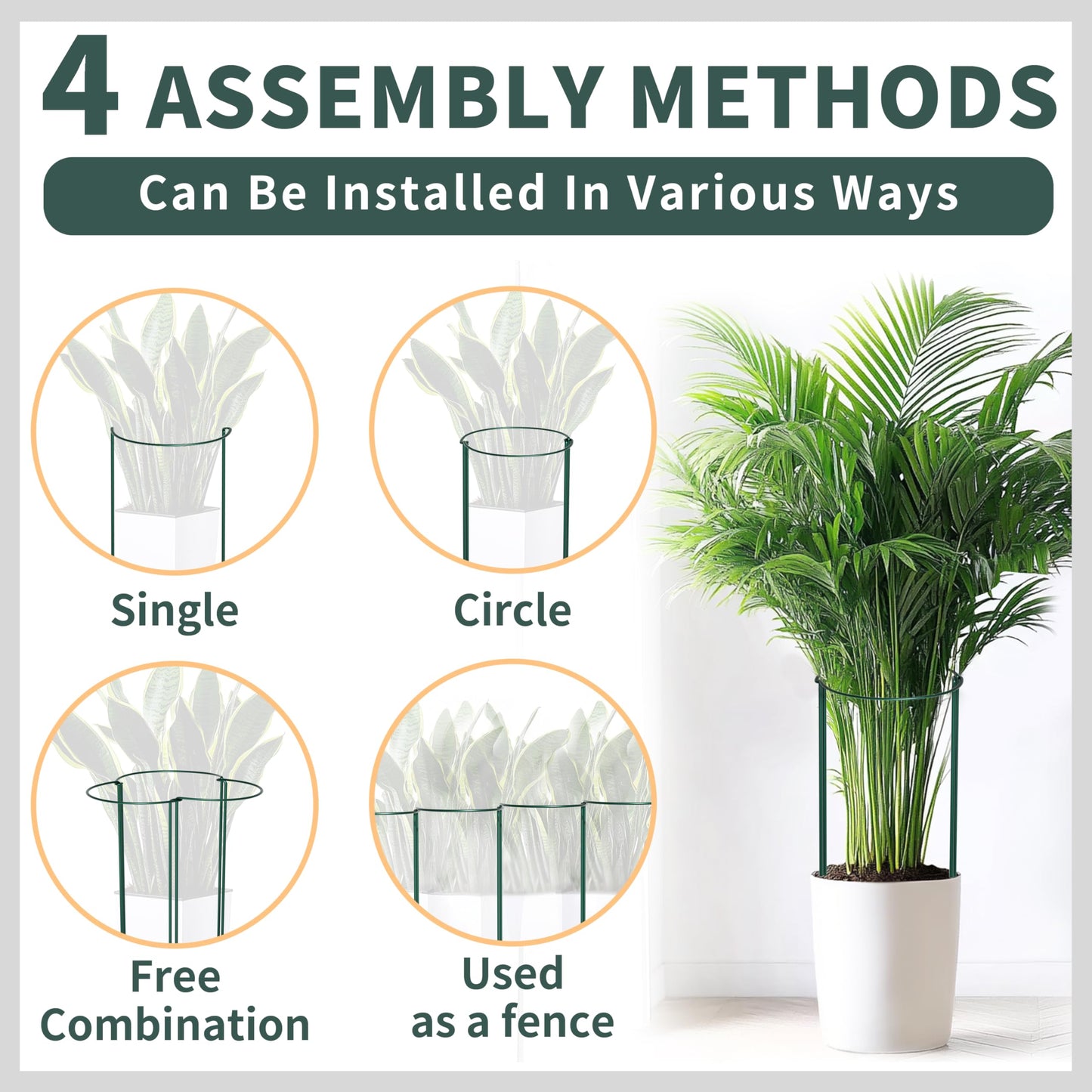 TORFICAN Peony Support Cage 24 Inch Tall, 10 Pack Heavy Duty Metal Plant Support Stakes, Rustproof Half Round Rings for Peonies, Tomatoes, Hydrangeas, Outdoor Plants,Green
