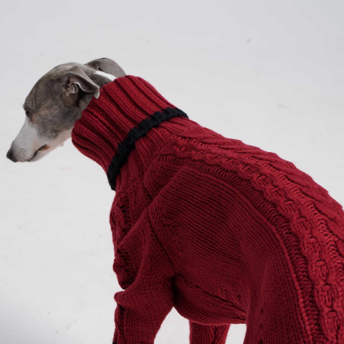 ESCCBOO Italian Greyhound Clothes, Warm Sweater for Whippets, Dog Onesie, Two-Legged Turtleneck Warm Sweater for Small Medium Dogs (Medium, Red)