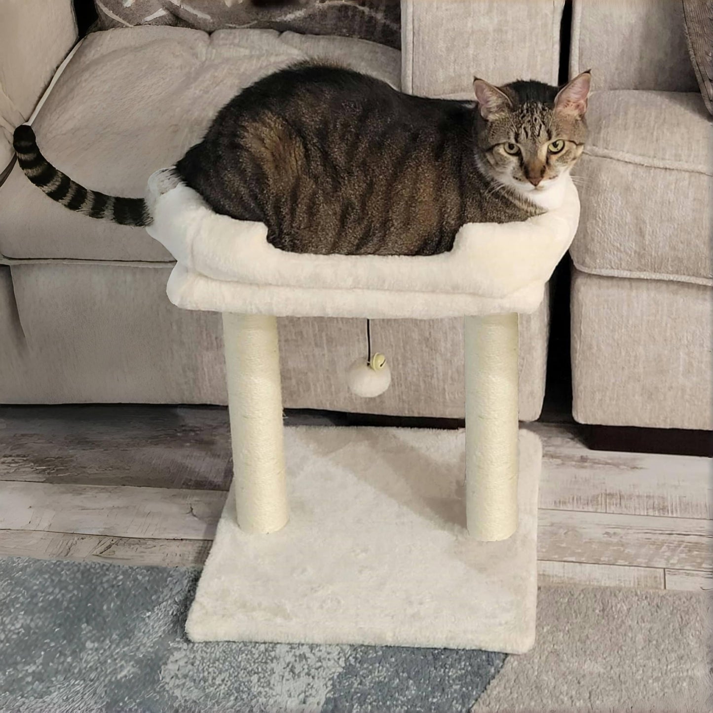 Cat Tree Tower with Top Perch for Small and Medium Indoor Cats, Cat Scratching Post with Bed for Kittens, Removable Cover, Natural Sisal Scratching Post and Dangling Ball Toy, Beige