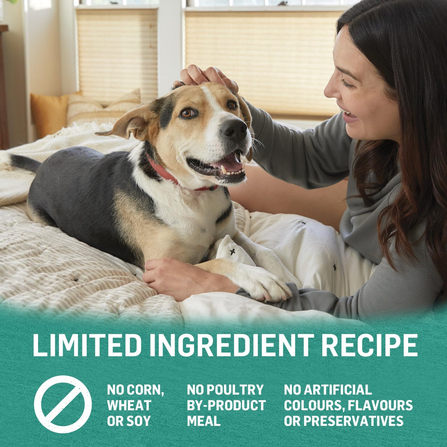 Beyond Natural Wet Dog Food, Alaskan Cod, Salmon & Sweet Potato Ground Entree - 368 g Can (12 Pack)