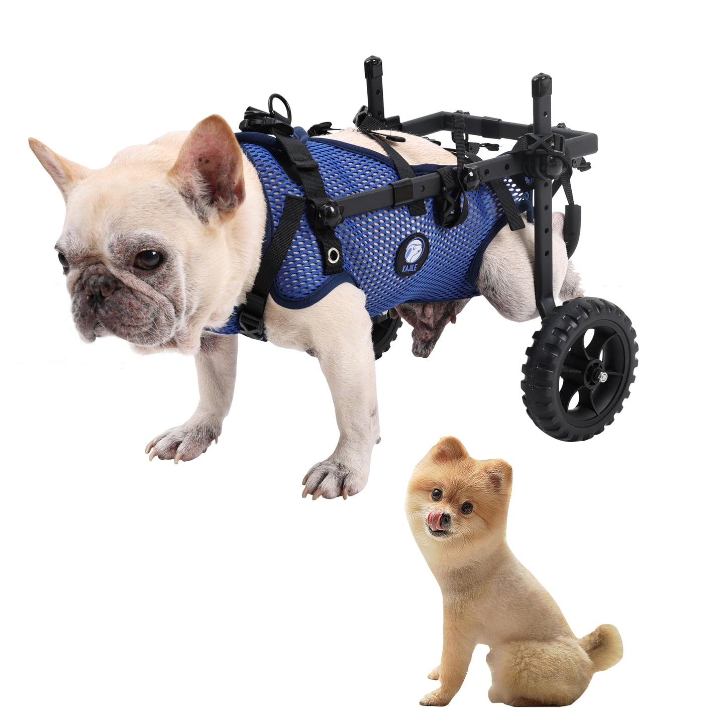 KAJILE Folding and Adjustable Two-Wheel Pet Pram, Wheelchair for Dogs, Rear Limb of Pet Rehabilitation,Blue,S