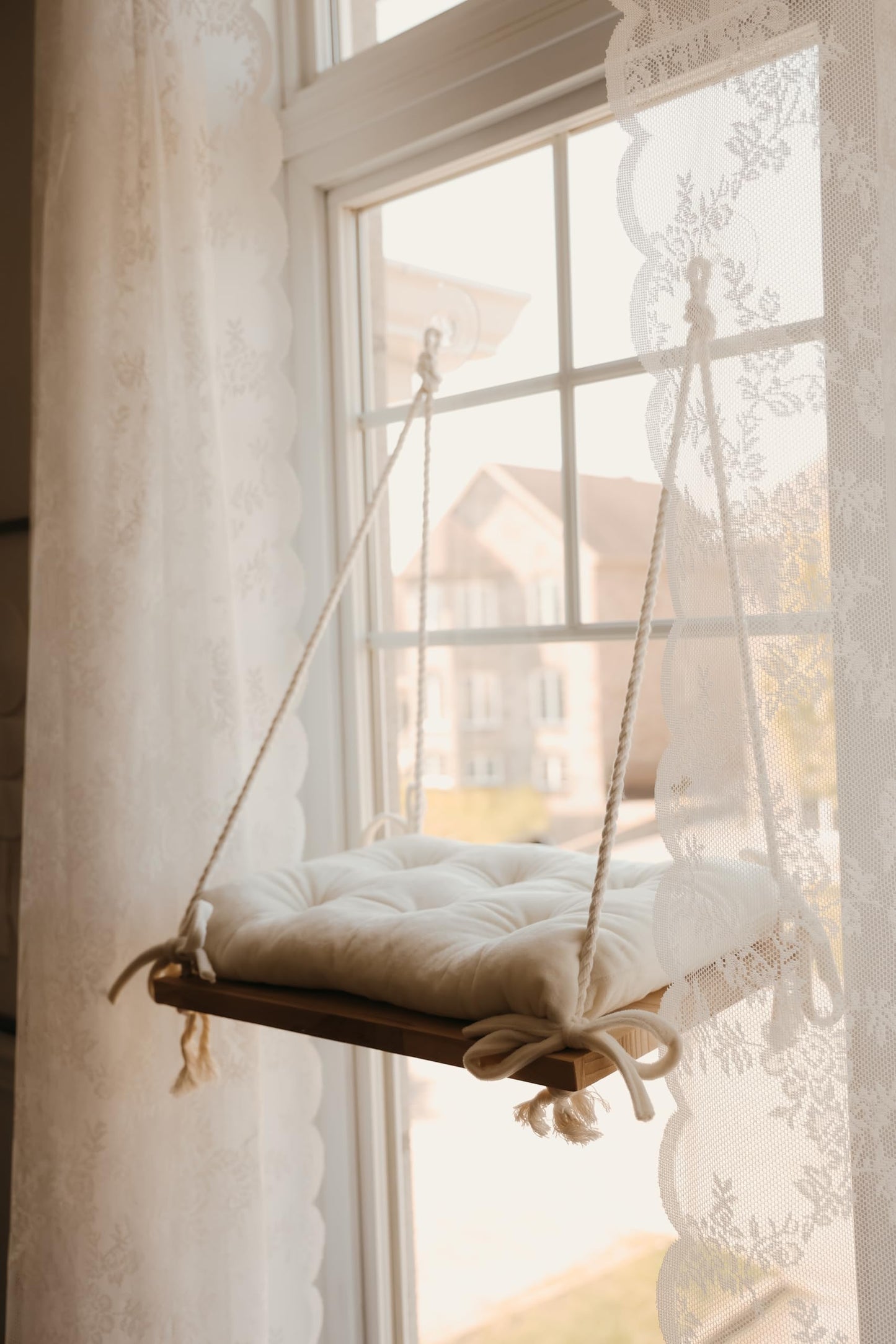 Cat Window Perch, Indoor Bed for Feline, Safety Shelves Space Saving Window-Mounted, Hammock, Sturdy Screw Suction Cups for Large Breeds & Kittens