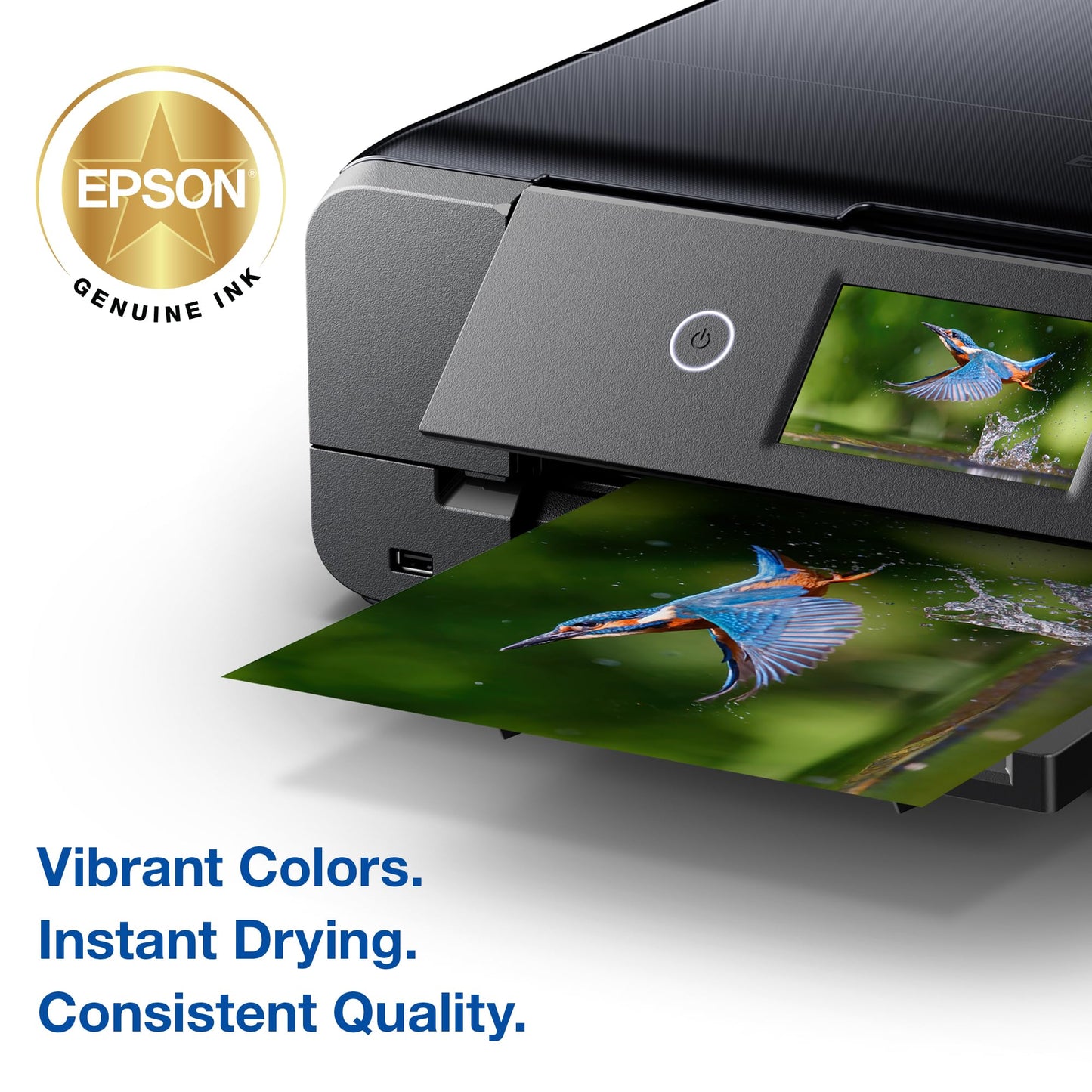 EPSON 279 Claria Photo HD Ink High Capacity Black Cartridge (T279XL120-S) Works with Expression Photo XP-980