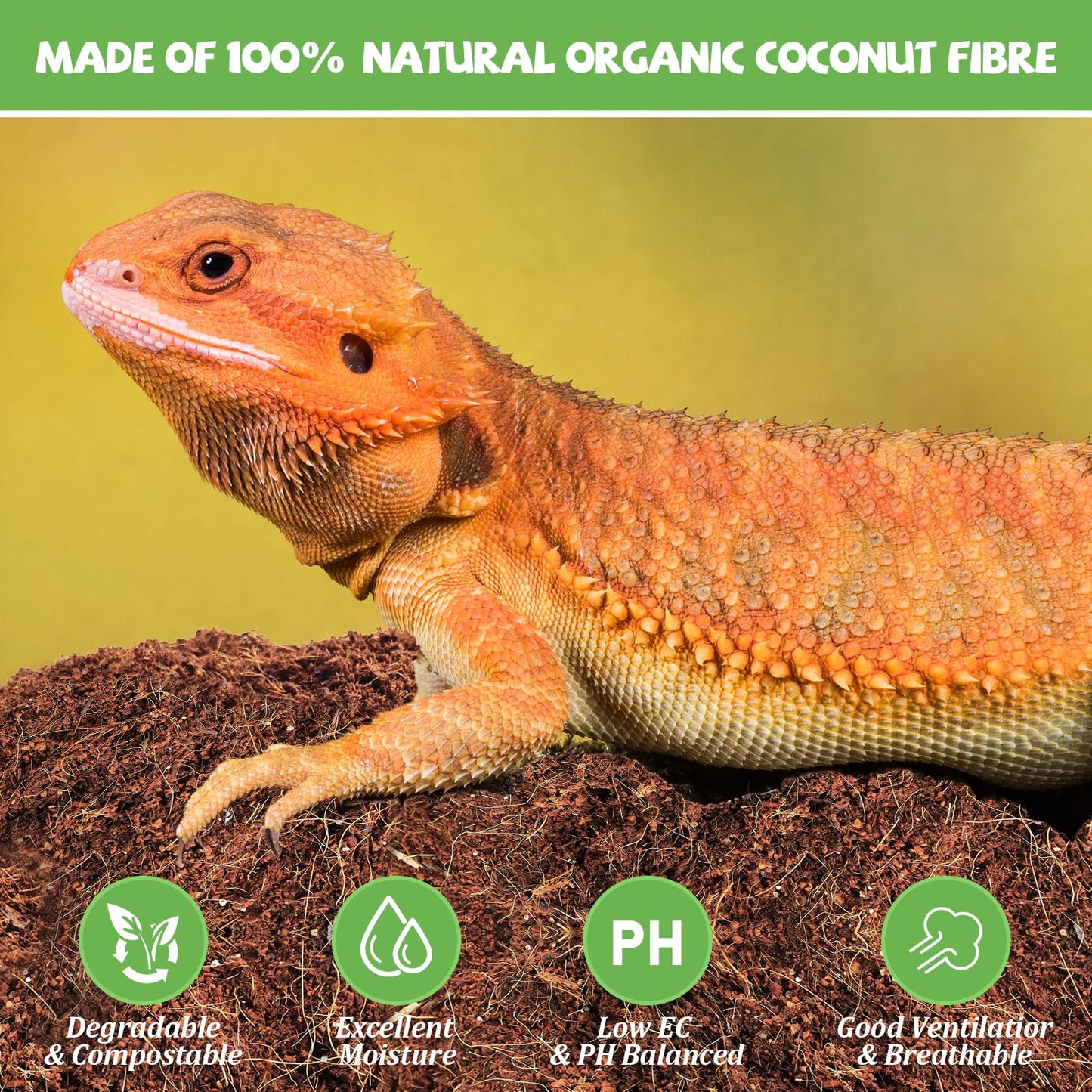 Riare 10 LBS Natural Coconut Fiber Substrate for Reptile- Premium Compressed Coconut Husk Terrarium Bedding for Reptile, Tortoise, Frogs, Snakes, Hermit Crabs, Burrowing Animals