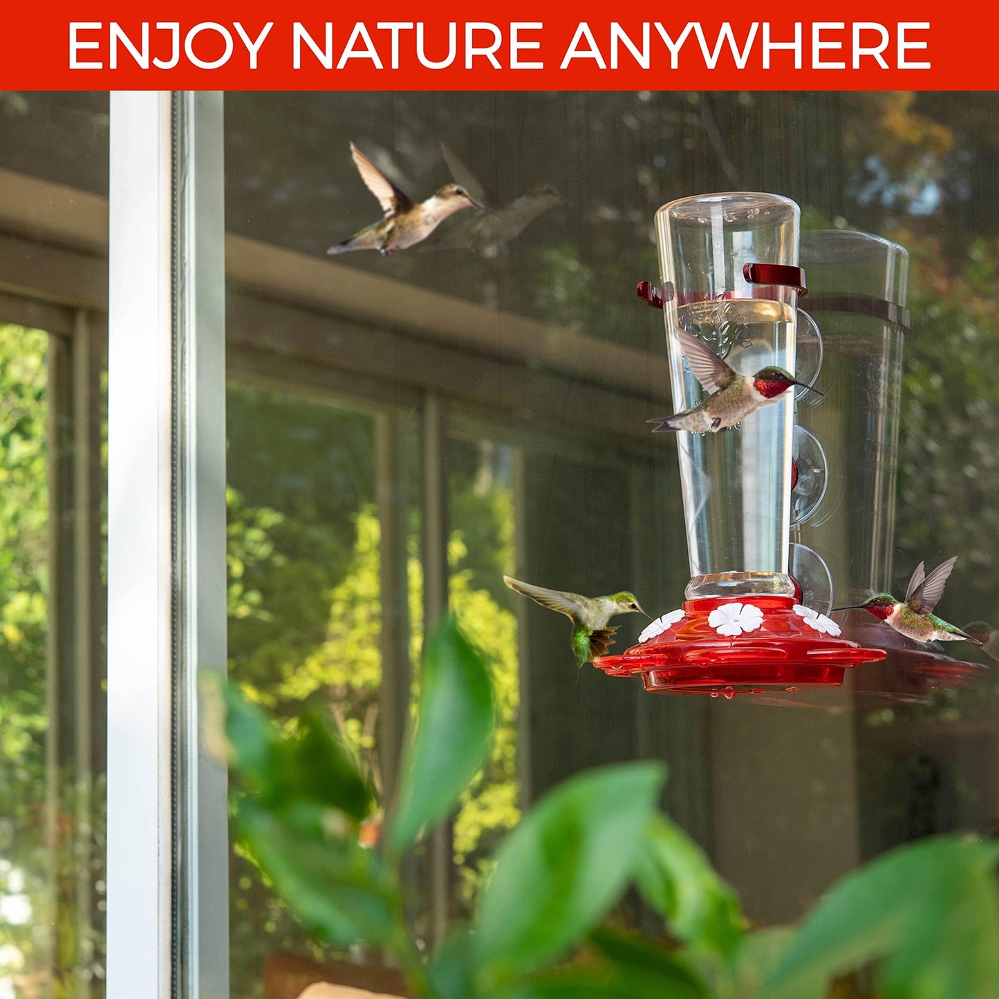Large Leak Proof Window Hummingbird Feeders for Outdoors Hanging - Wasp and Bee Proof - Window Hummingbird Feeder for Outdoor - Window Mount