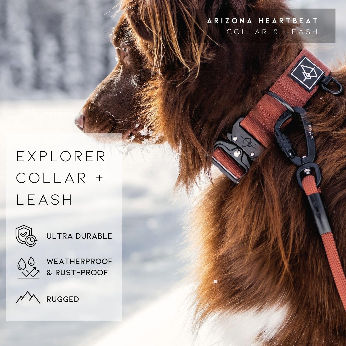 Made to ROAM Premium Dog Collar - Adjustable Heavy Duty Nylon Collar with Quick-Release Metal Buckle (Arizona Heartbeat, Classic Size 4)
