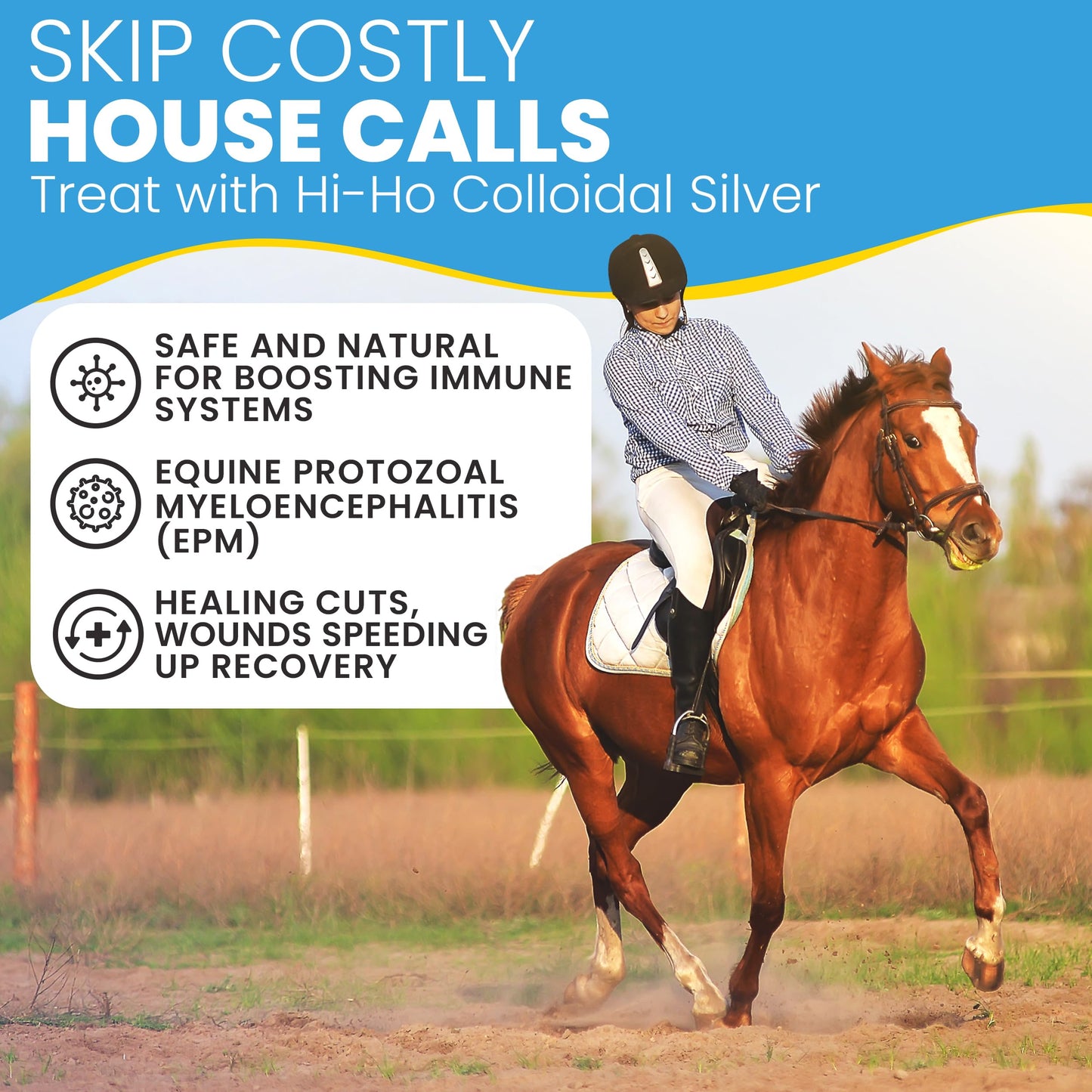 Colloidal Silver Spray for Pets - 15 PPM Colloidal Silver Liquid Formula for Dogs, Cats, and Other Pets, Gentle Non-Irritating, Fast-Drying Pet Care (500 ml)