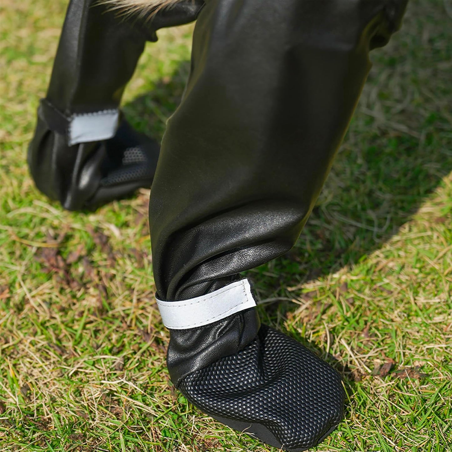 BiPawTi Dog Suspender Boots, Reflective Paws Dog Boots for Night-Walk Safety, Suspender Booties for Hot Pavement/Snow Walks, Anti-Lost/Anti-Slip Shoes, Leg/Paw Protectors for Large Dogs - XXL