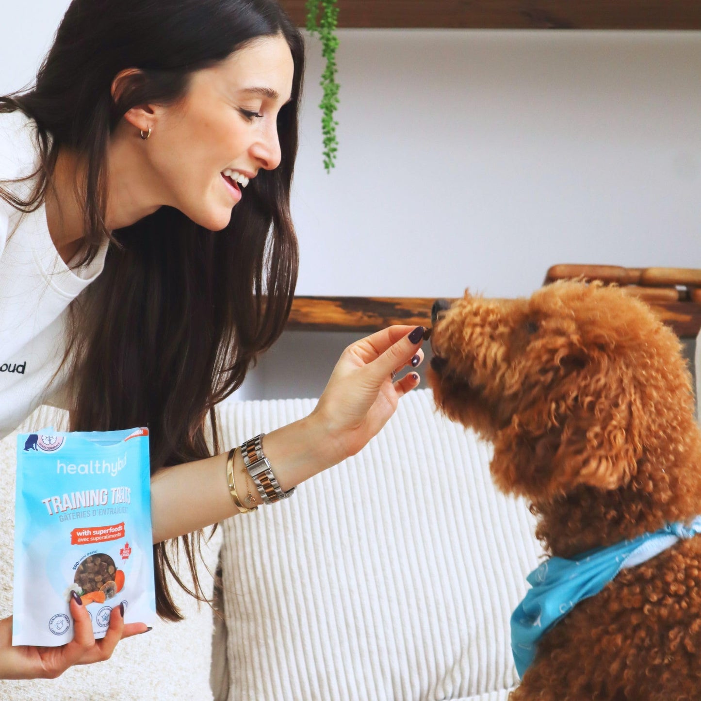 Healthybud Beef Mini Training Treats for Dogs Low-Calorie Soft Liver Treats for Puppies & Small Dogs with Reishi Lion’s Mane Pumpkin Salmon Oil Grain-Free and Made in Canada 6.5oz 3Pack Made in Canada