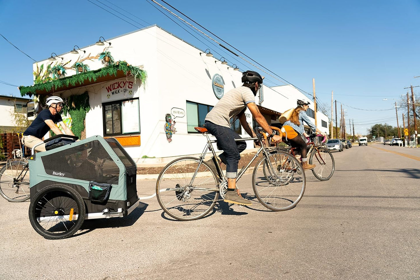 Burley Pet Trailer Pouch for Dog Bike Trailer, Midnight Marionberry, Black and Early Juniper