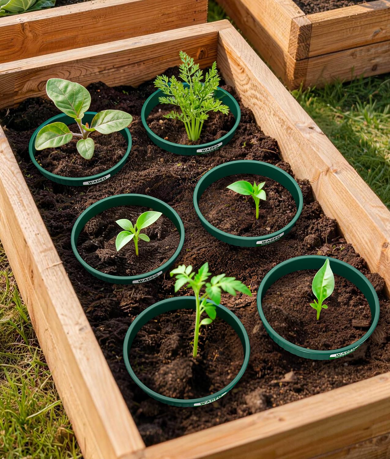 WADEO 17.78cm/7in Planting Grow Rings, 12 PCS Plant Rings for Outdoor Plants, Perfect for Deep Root Watering Veggies Herbs Vegetable and Flowers