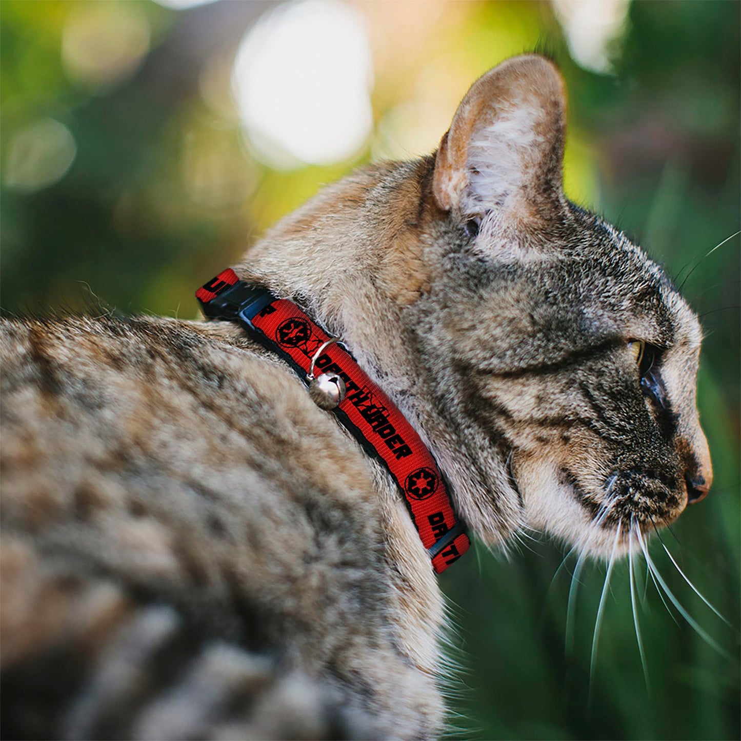 Star Wars Cat Collar, Breakaway Collar with Bell, Star Wars Darth Vader Japanese Characters and Logo Red Black, 8.5 to 12 Inches 0.5 Inch Wide