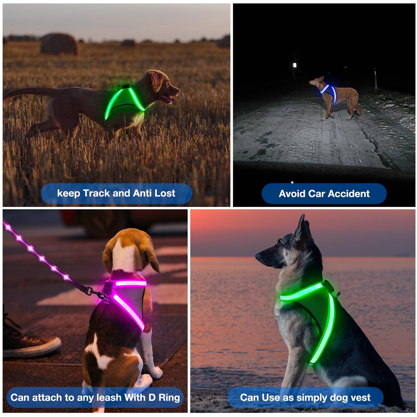 ChalkLit Light Up Dog Harness, No Pull Led Dog Harness Glow-in-The-Dark for Night Walking, USB Rechargeable Lighted Safety Vest for Medium Large Dogs, Adjustable Soft Mesh Fully Illuminated (Blue, XL)
