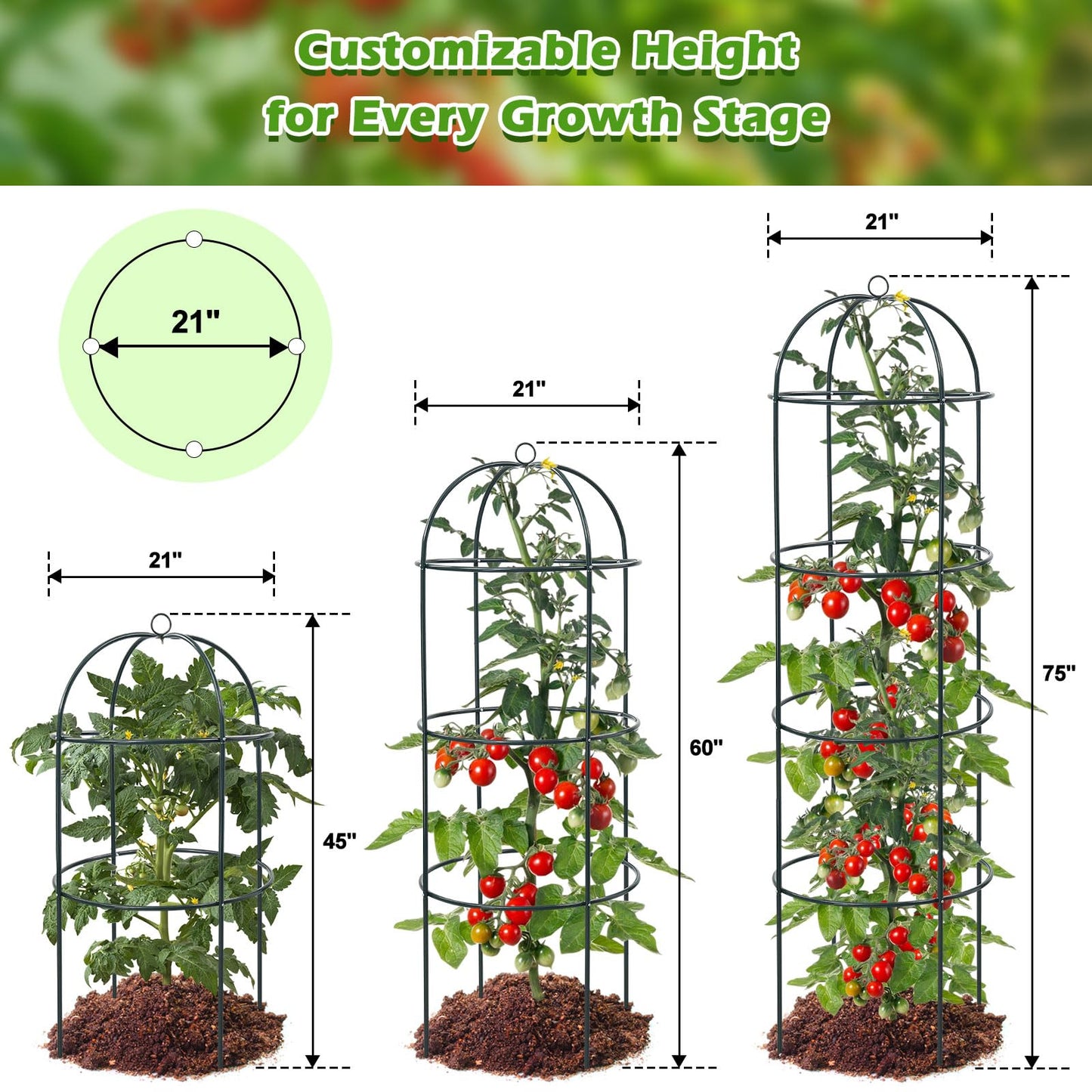 Trellis for Climbing Plants Outdoor, 2Pcs 75" Tall, 21" Dia, Heavy Duty Metal Garden Trellis Tower Potted Cages for Flowers Fruits Vegetable Cucumber Tomato Rose Clematis Pea Bean Raised Bed Trellises