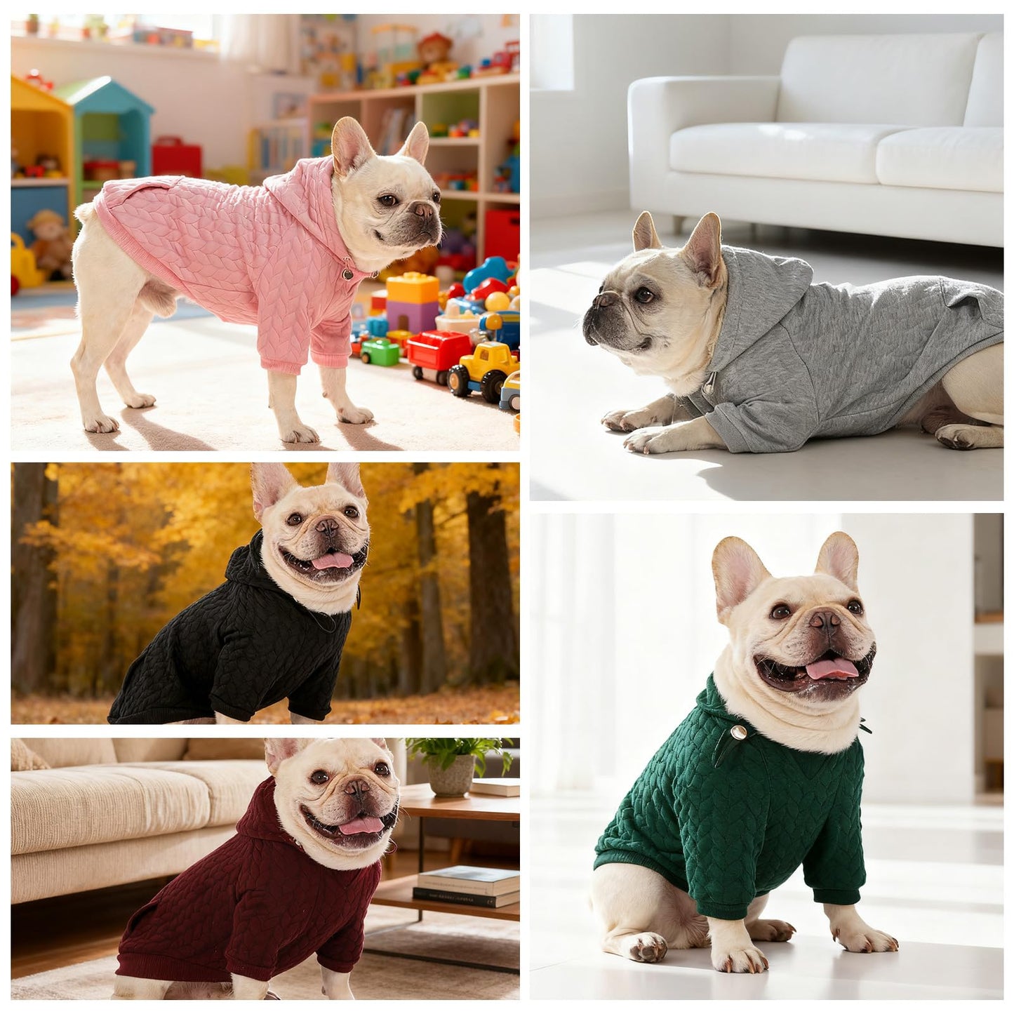 EXPAWLORER Dog Hoodie,Warm Pet Clothes for Small Medium Large Dogs Gril Boy,Dog Sweatshirt Puppy Sweater with Pouch for Cold Weather Fall Winter,Cat Hooded Coat Apparel,Black XXL