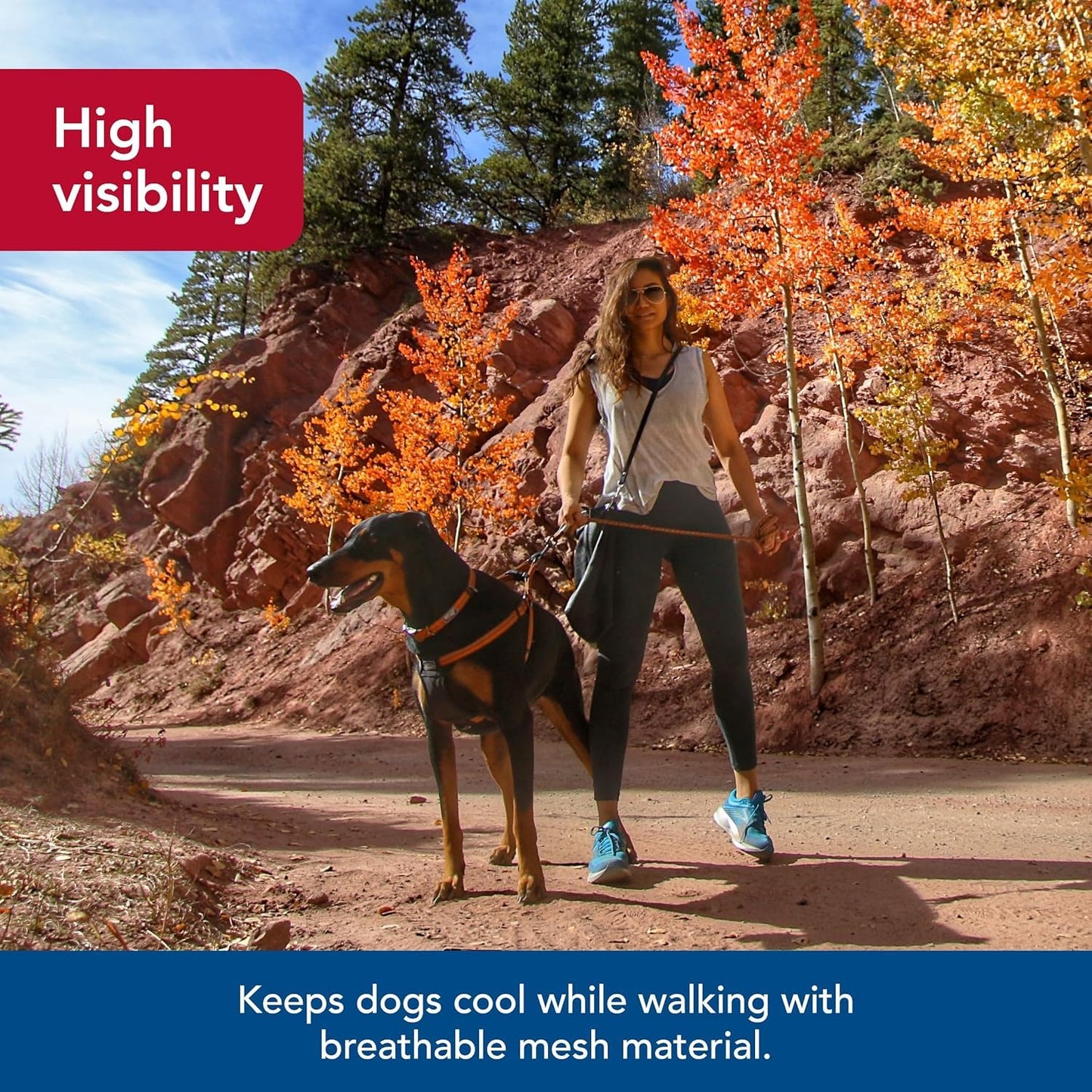 Coastal - K-9 Explorer - Reflective Adjustable Padded Dog Harness, Rosebud, 5/8" x 16"-24"