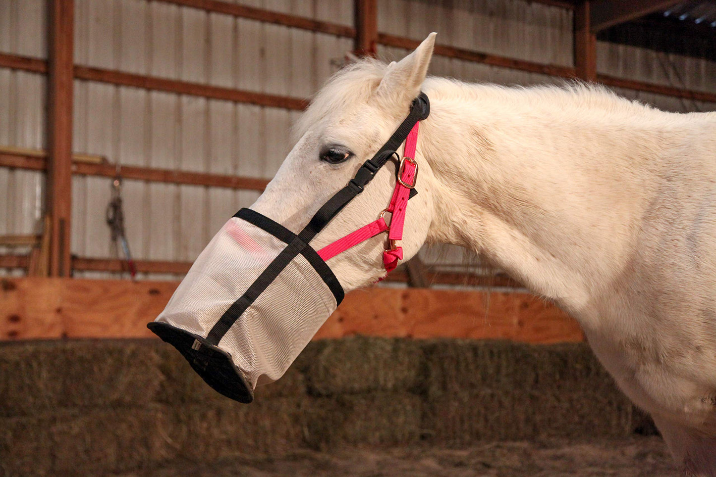 Majestic Ally Horse Feed Bag, Heavy Duty Nylon Mesh Grain Feed Bag, Adjustable Strap with Durable Snap and Elastic Straps, Comfort Neck Pad and Nose Pad (Full, Beige)