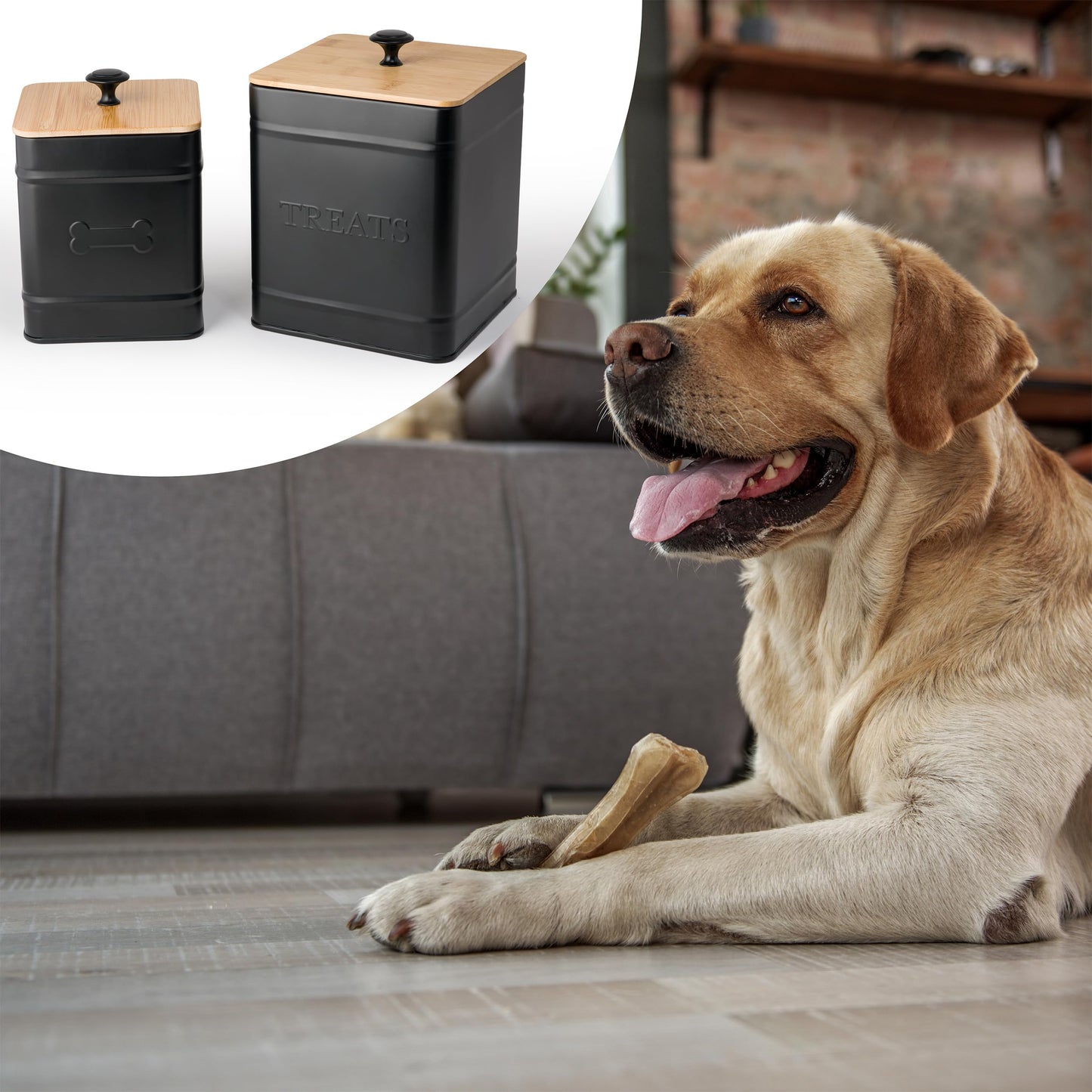 Autumn Beginnings Dog Treat Jar, 2 Pack Large Glass Pet Treat Container with Airtight Bamboo Lid, for Dog Cookies, Dog Training Treats, Dog Food Storage, for Small and Large Dogs