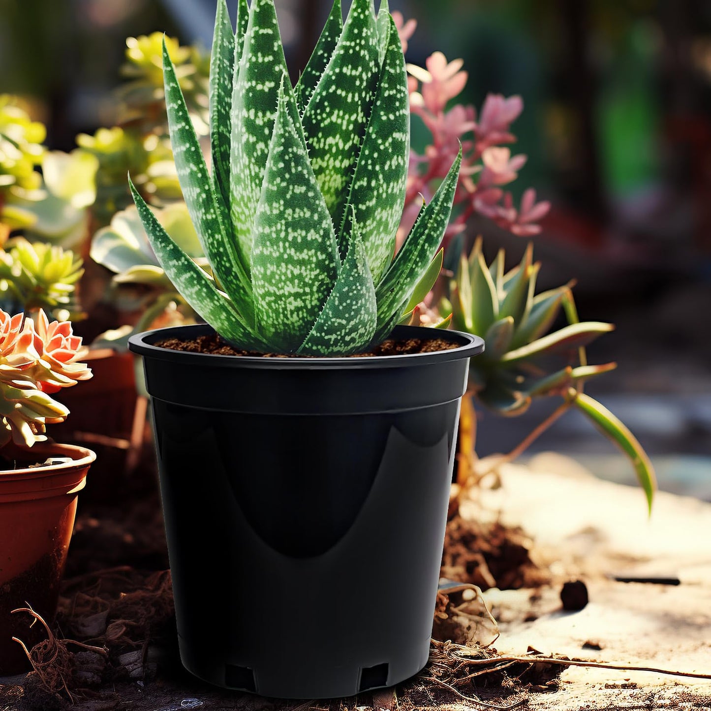 1.5 Gallon Plastic Nursery Pots, 7.5 Inch Round Plant Pots with Drainage Holes, 15 Pack Flower Pots for Outdoor Indoor Plants, Flowers, Black