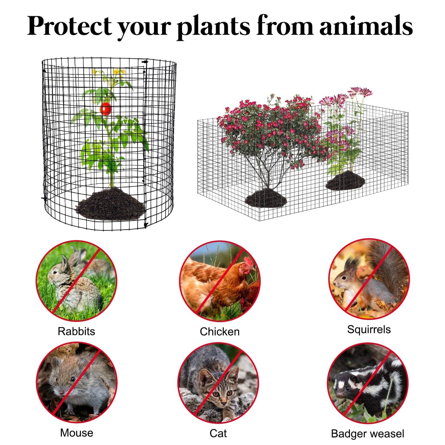 6 Pack 12'' x 12'' Plant Protectors from Animals, Plant Support Cage for Growing Vegetables Metal Chicken Wire Cloche with Stakes Metal Mesh Plant Cage Covers for Keeping Bunny Squirrels Out